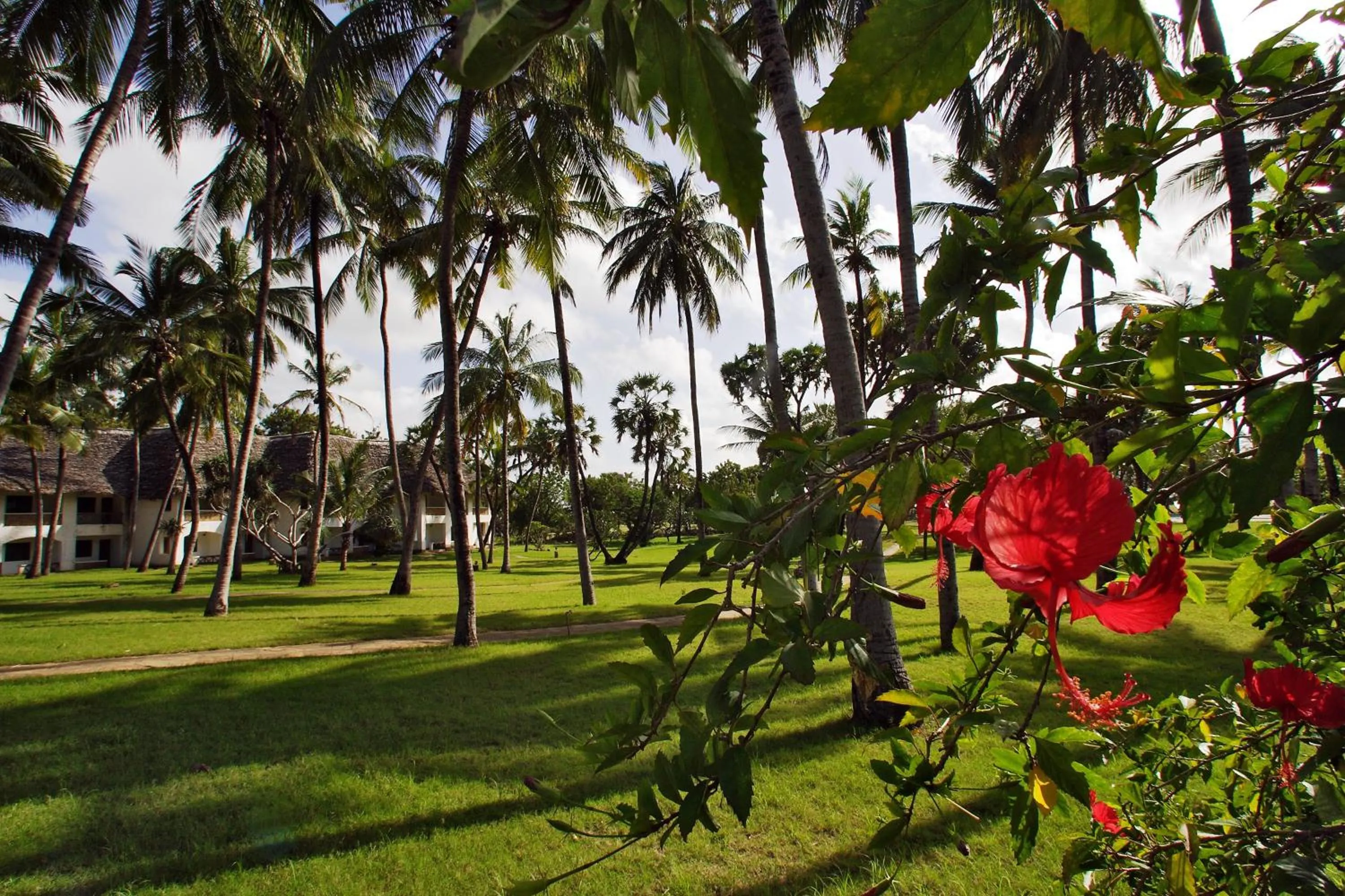 Garden in The Lawford Hotel