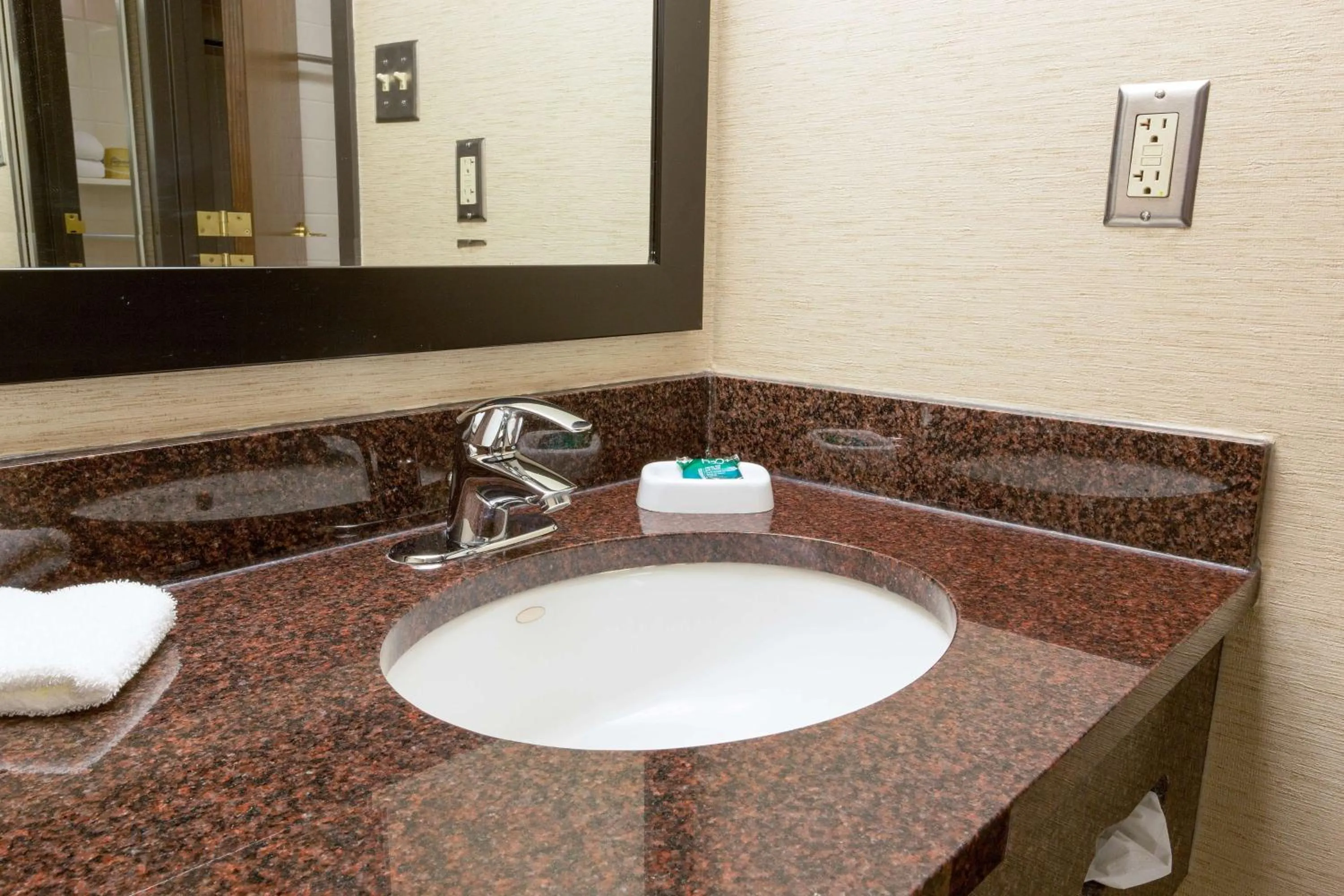 Bathroom in Drury Inn & Suites McAllen