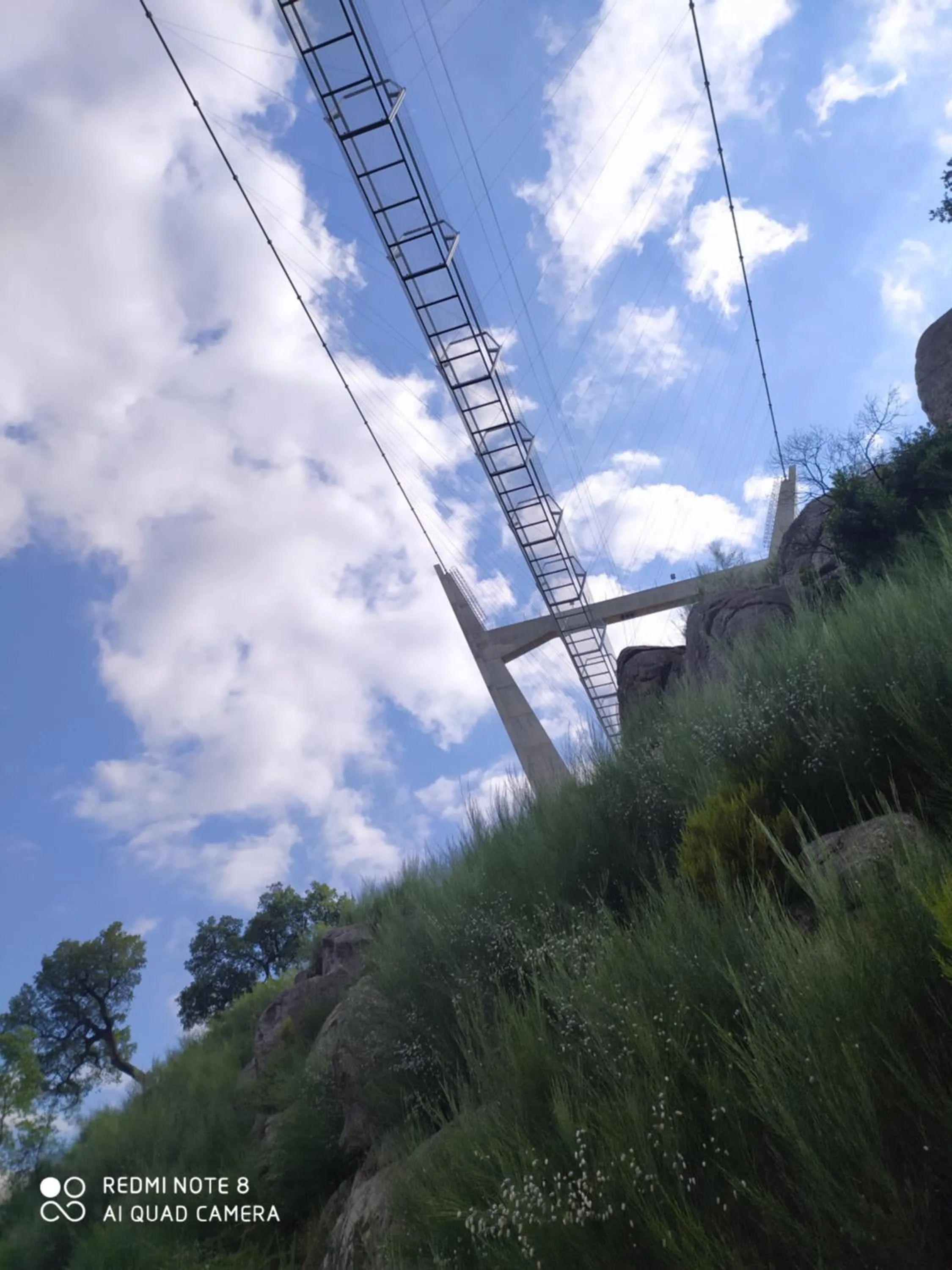 BellaVista Alojamento