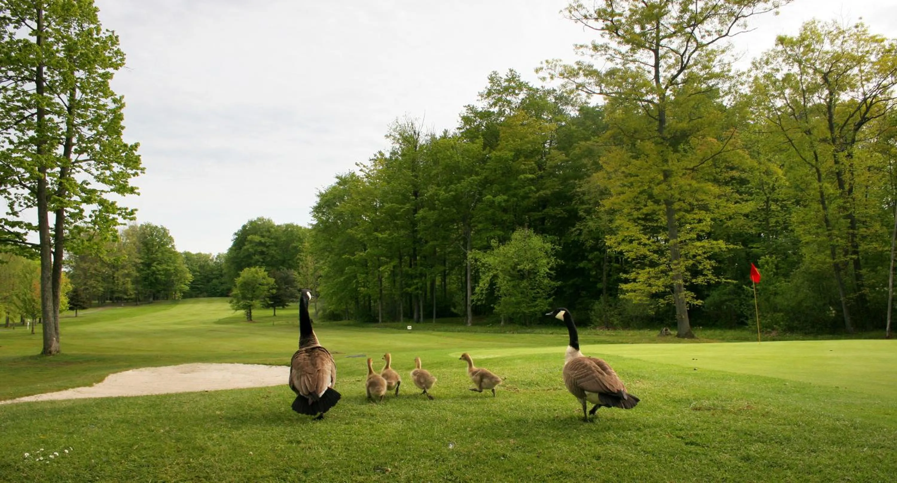 Golfcourse in Spencer Hotel & Spa Chautauqua