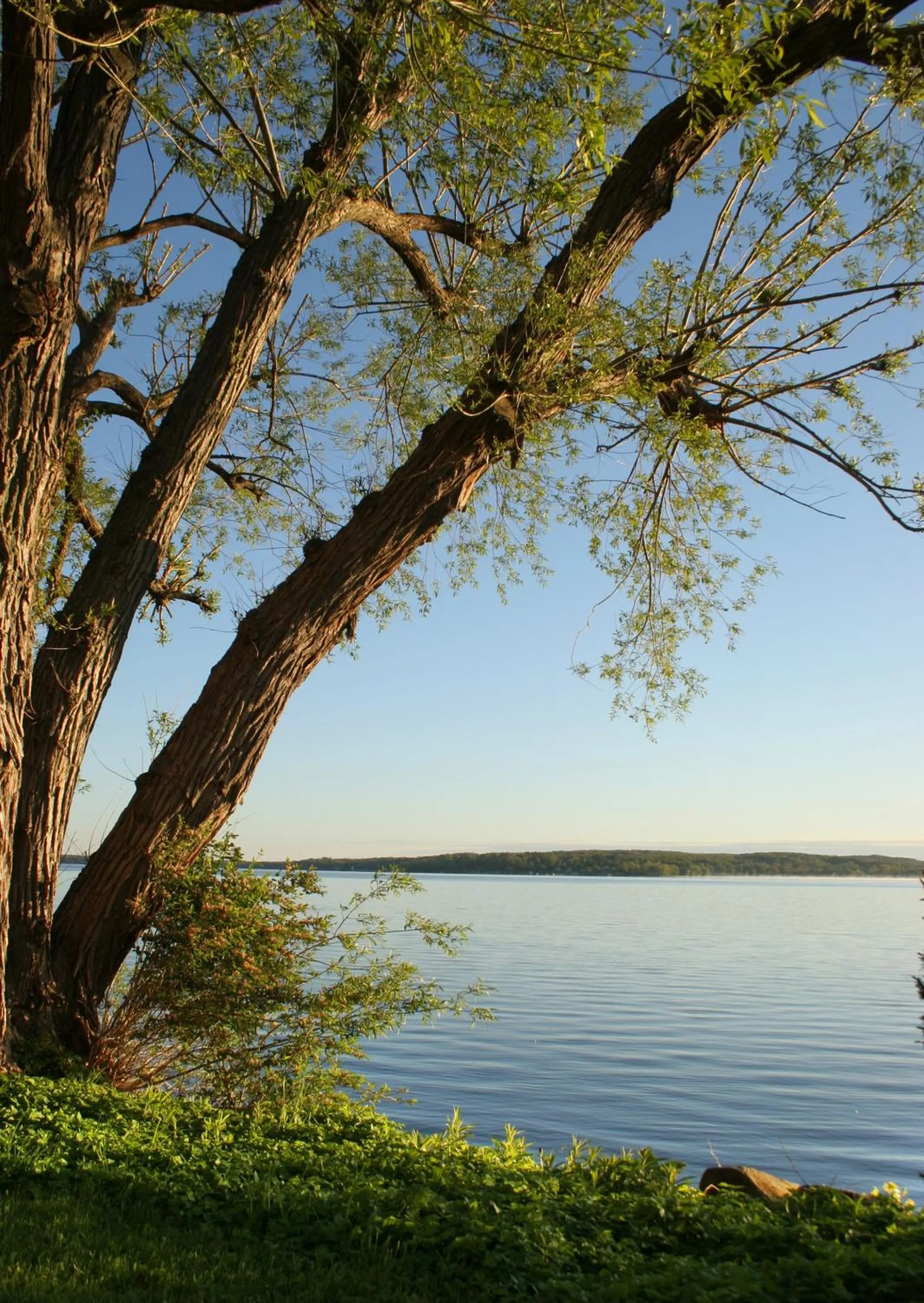 Area and facilities in Spencer Hotel & Spa Chautauqua