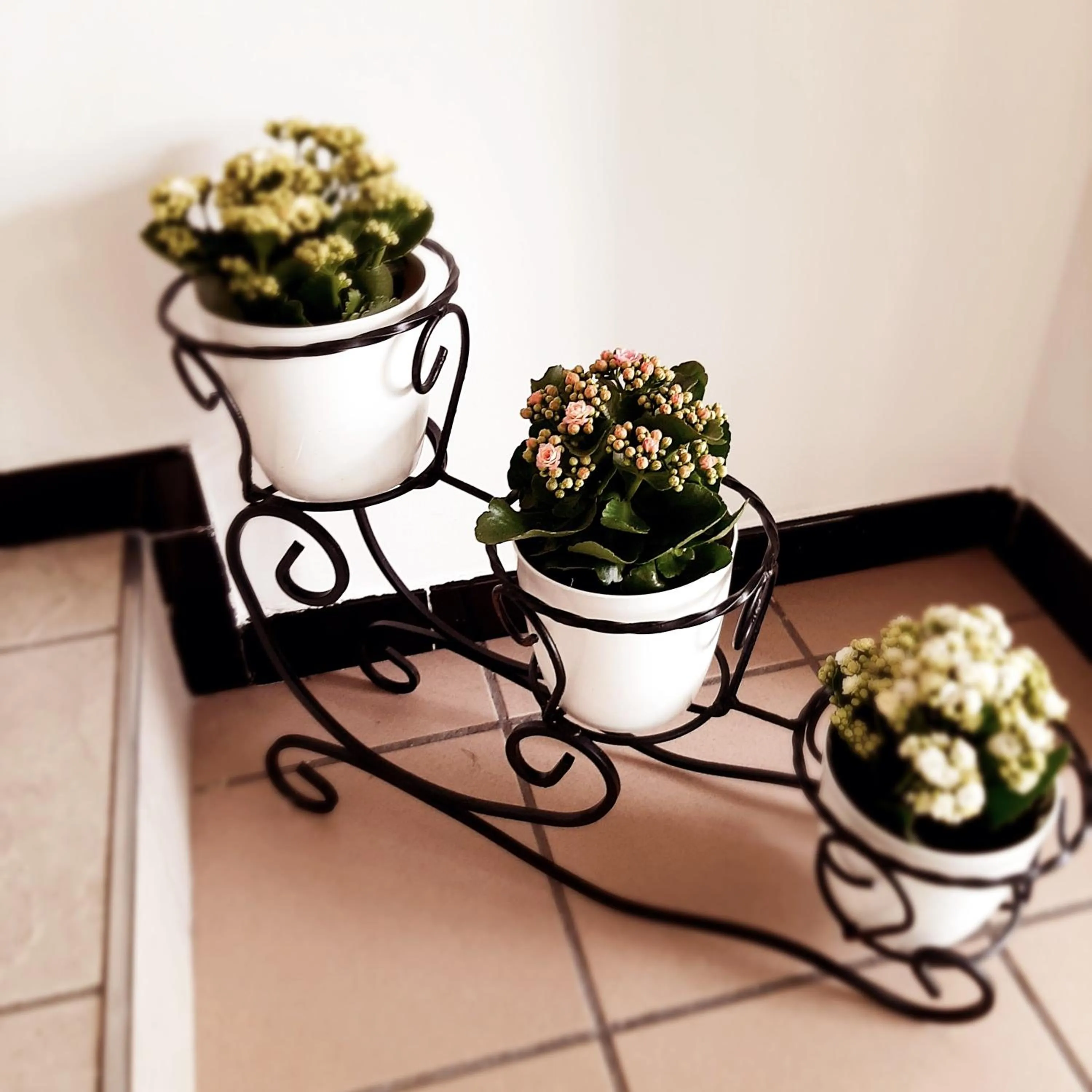 Decorative detail in HOTEL JOHN