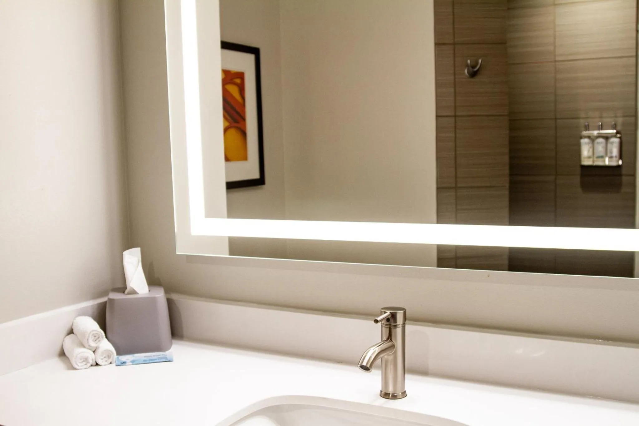 Photo of the whole room in Holiday Inn Express & Suites Overland Park by IHG