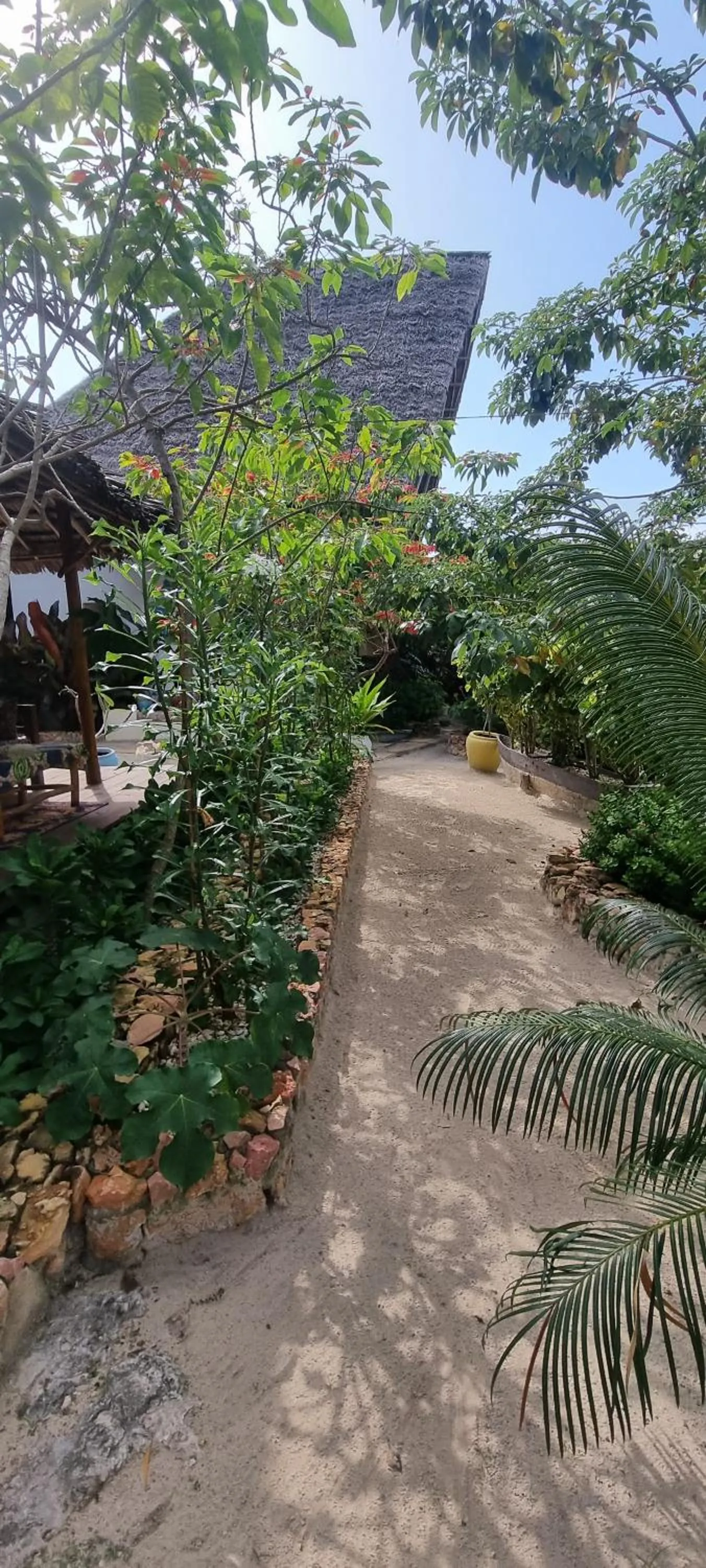 Garden in Salama & Mbuyuni Bungalows