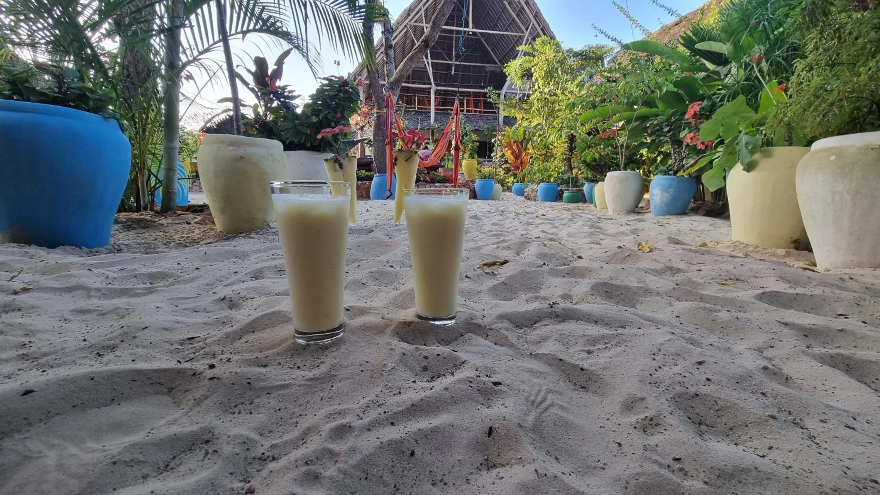 Garden in Salama & Mbuyuni Bungalows