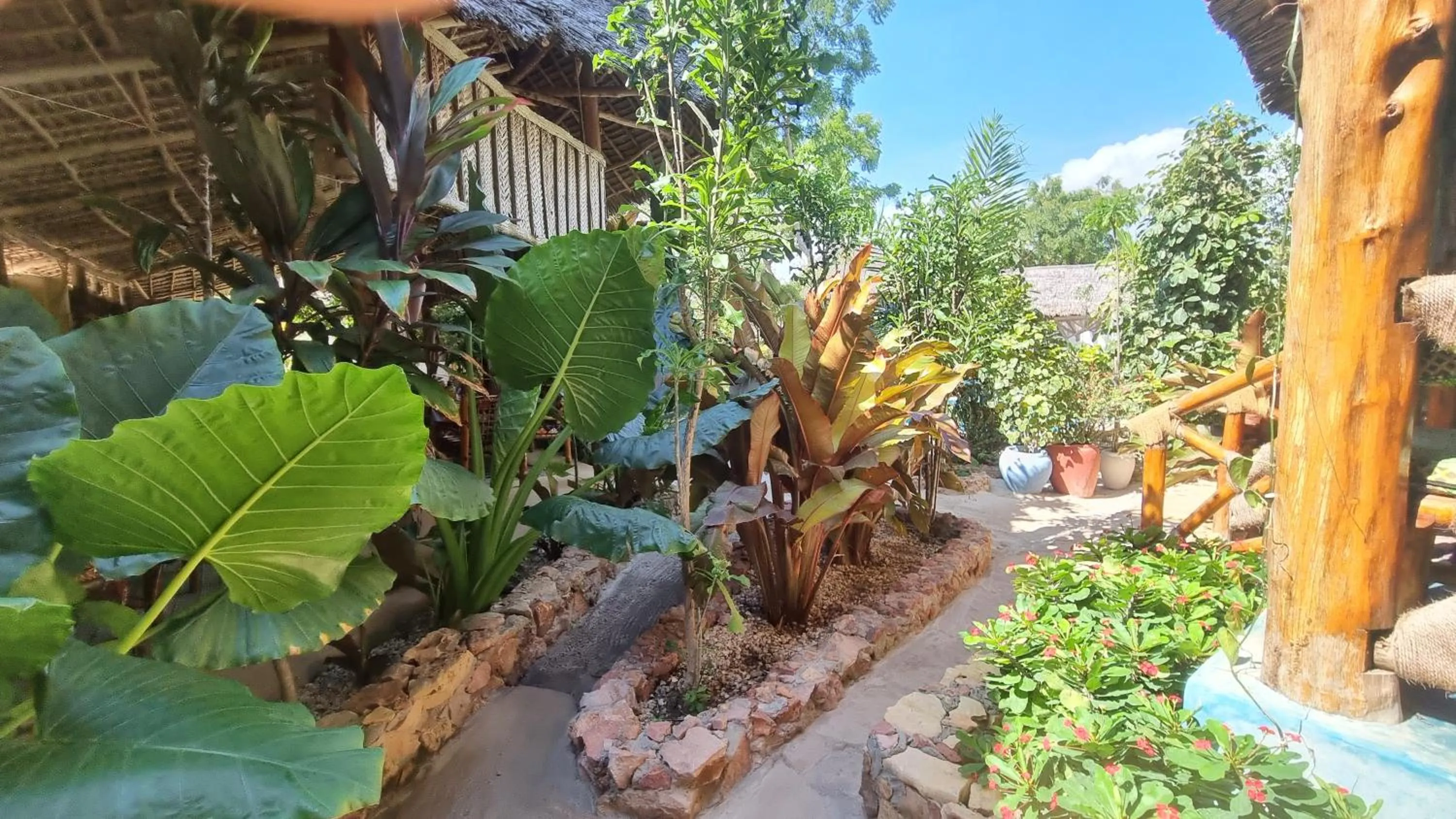 Garden in Salama & Mbuyuni Bungalows