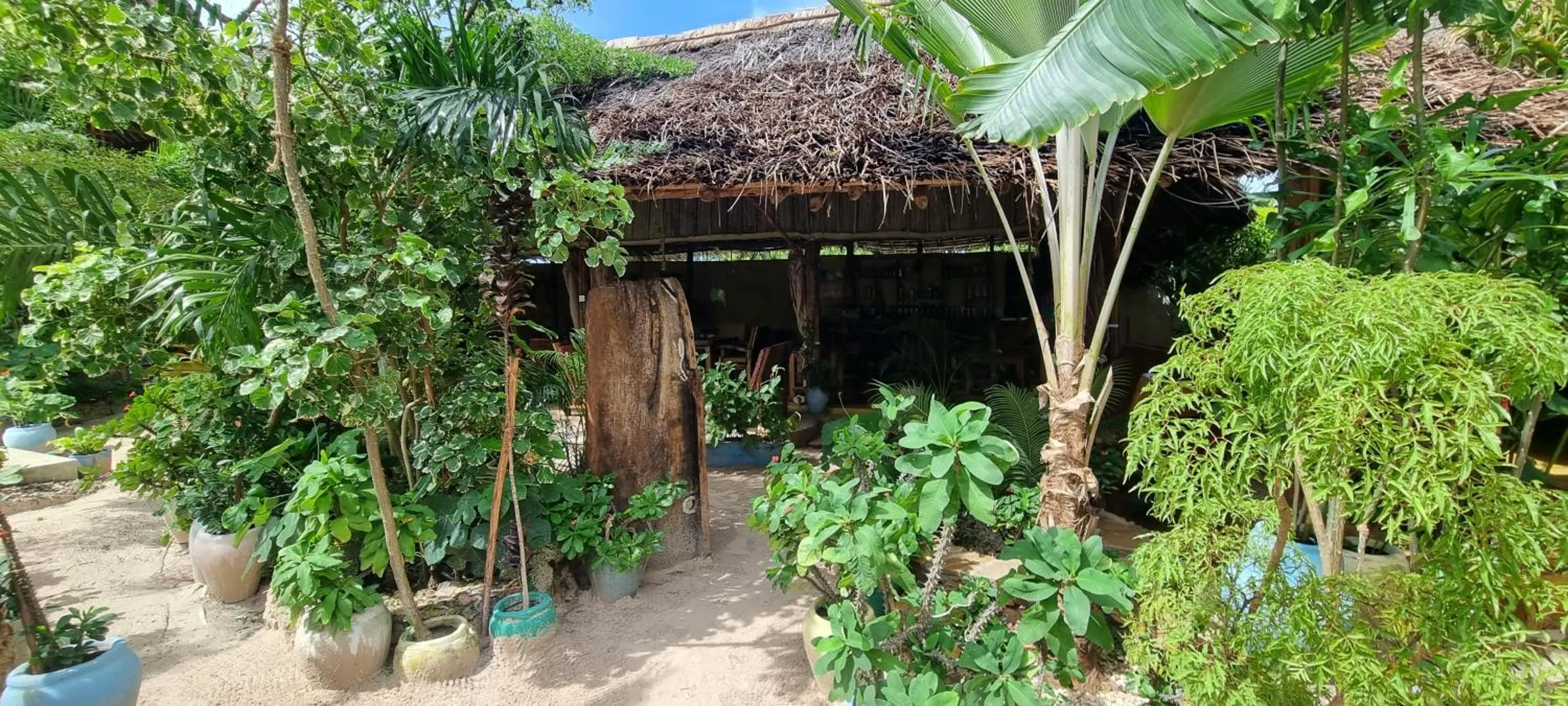 Garden in Salama & Mbuyuni Bungalows