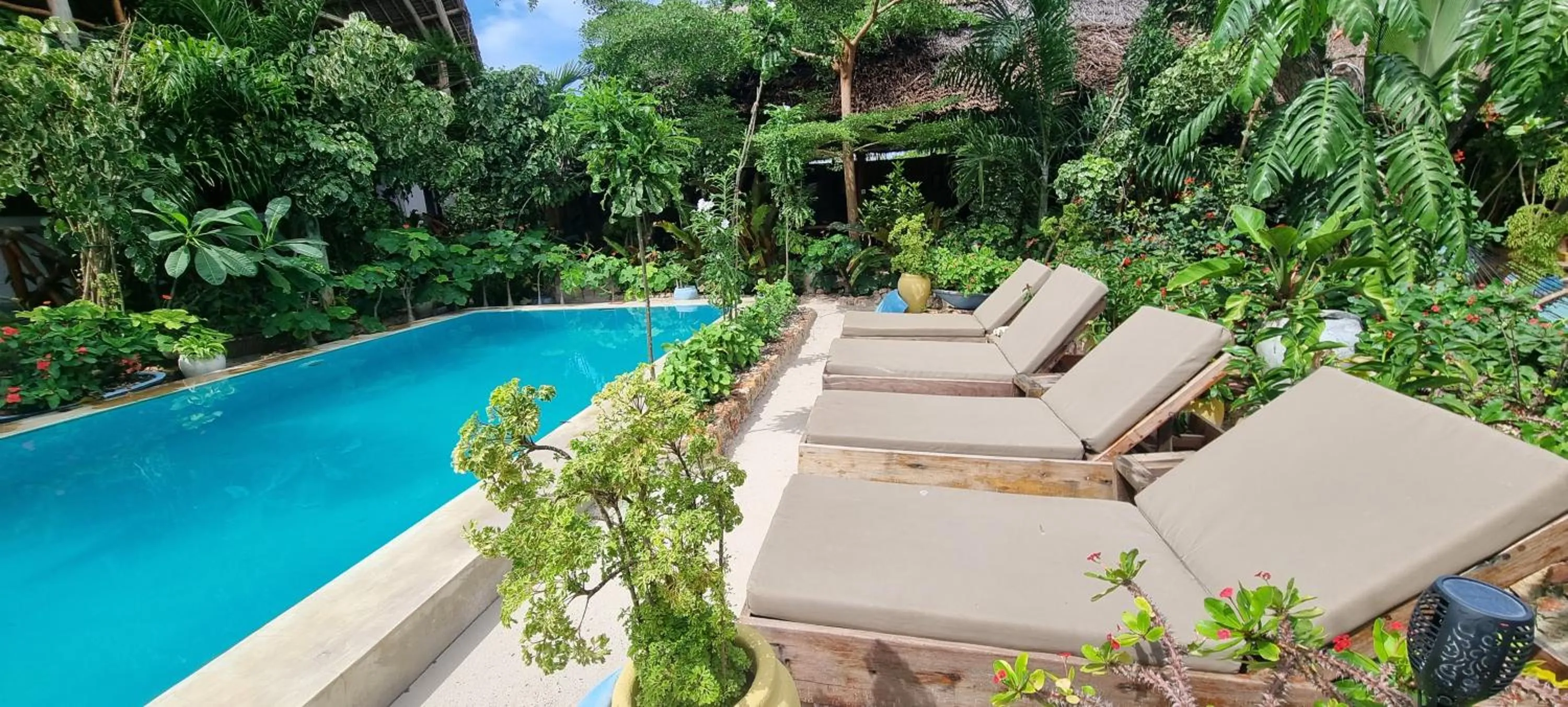 Garden in Salama & Mbuyuni Bungalows