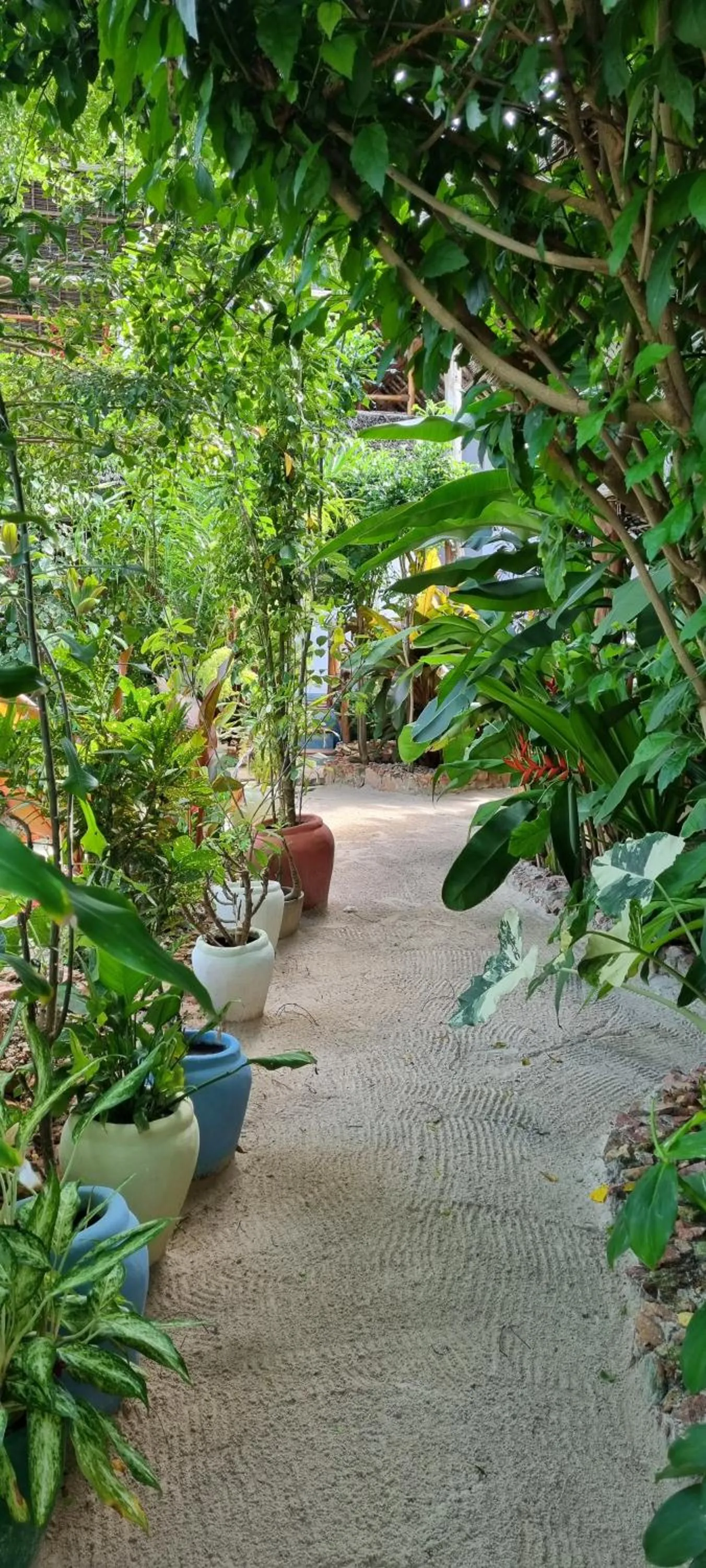 Garden in Salama & Mbuyuni Bungalows