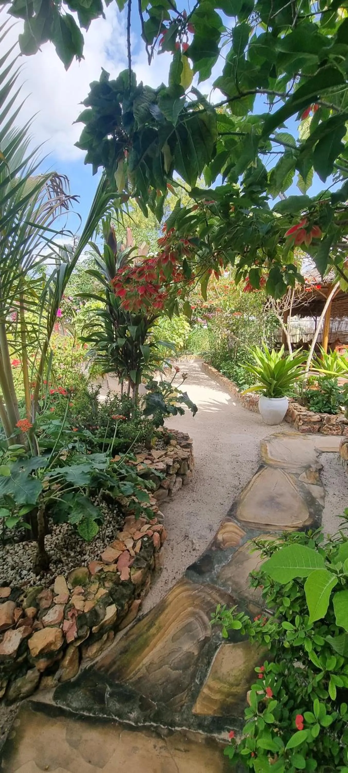 Garden in Salama & Mbuyuni Bungalows