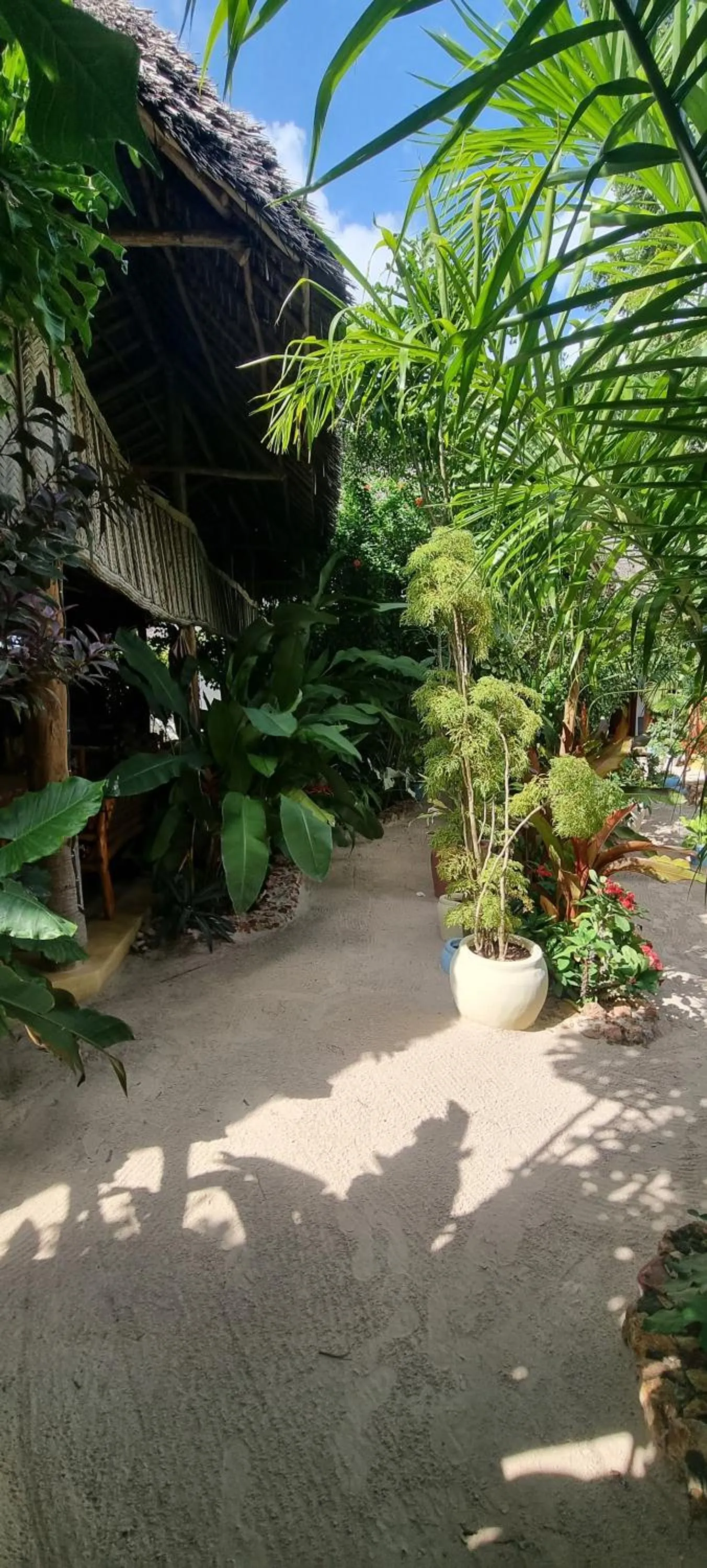 Garden in Salama & Mbuyuni Bungalows