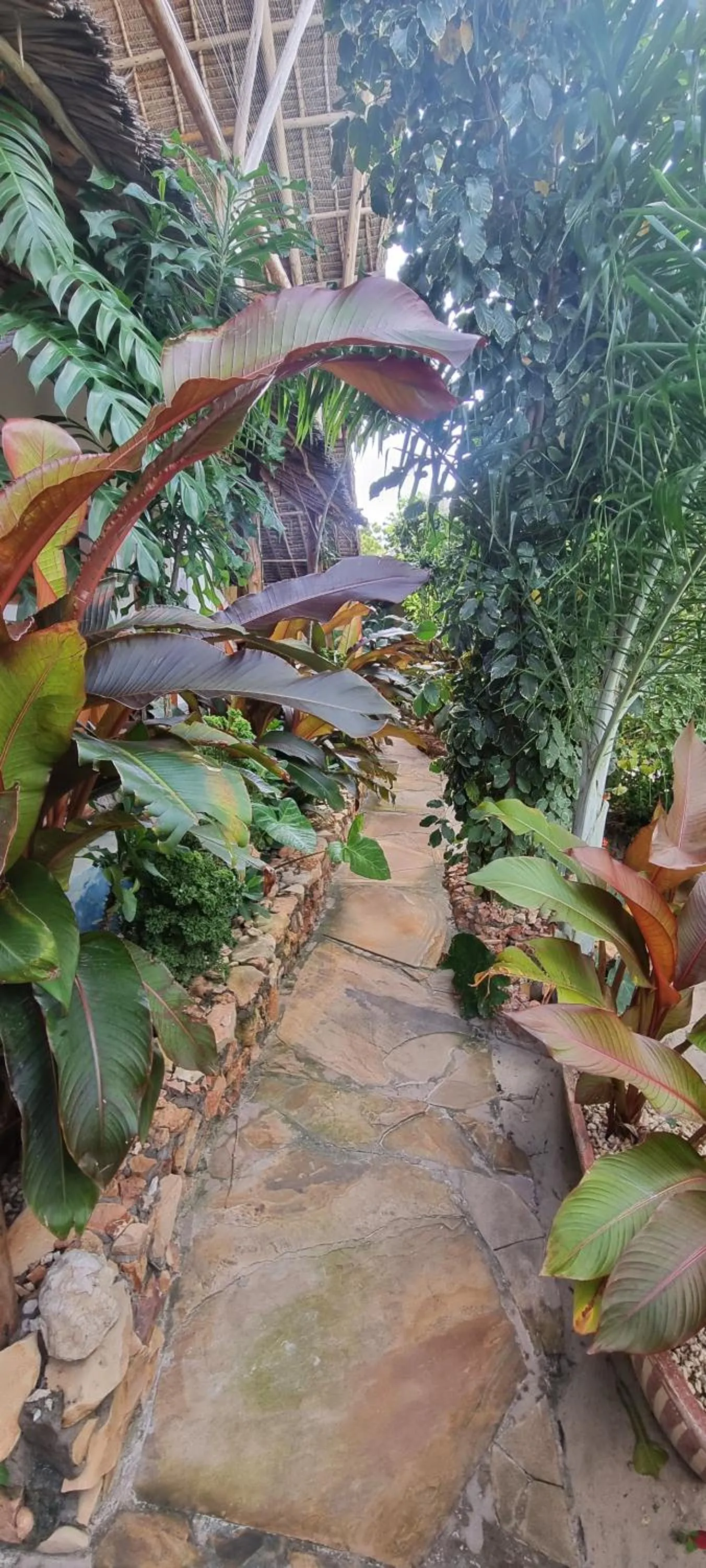 Garden in Salama & Mbuyuni Bungalows