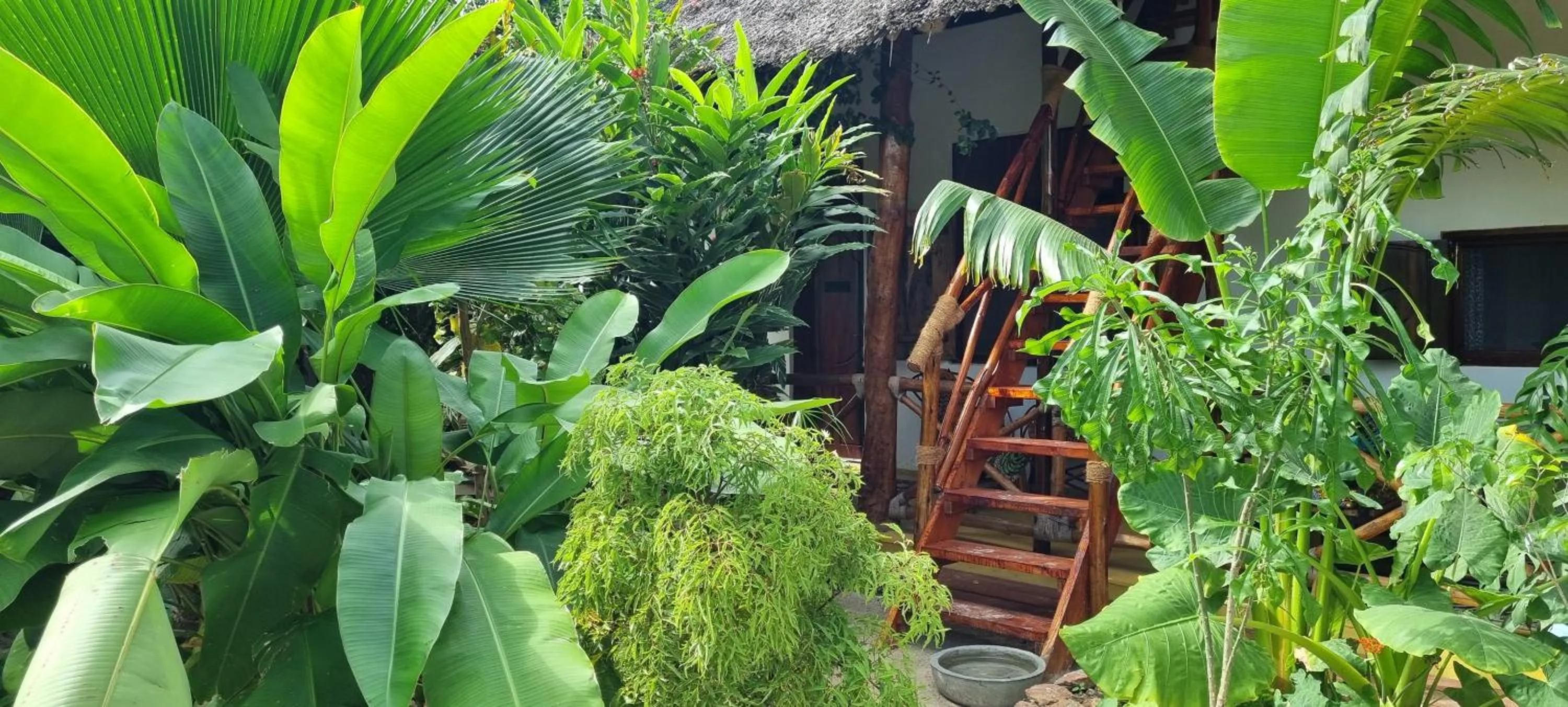 Garden in Salama & Mbuyuni Bungalows