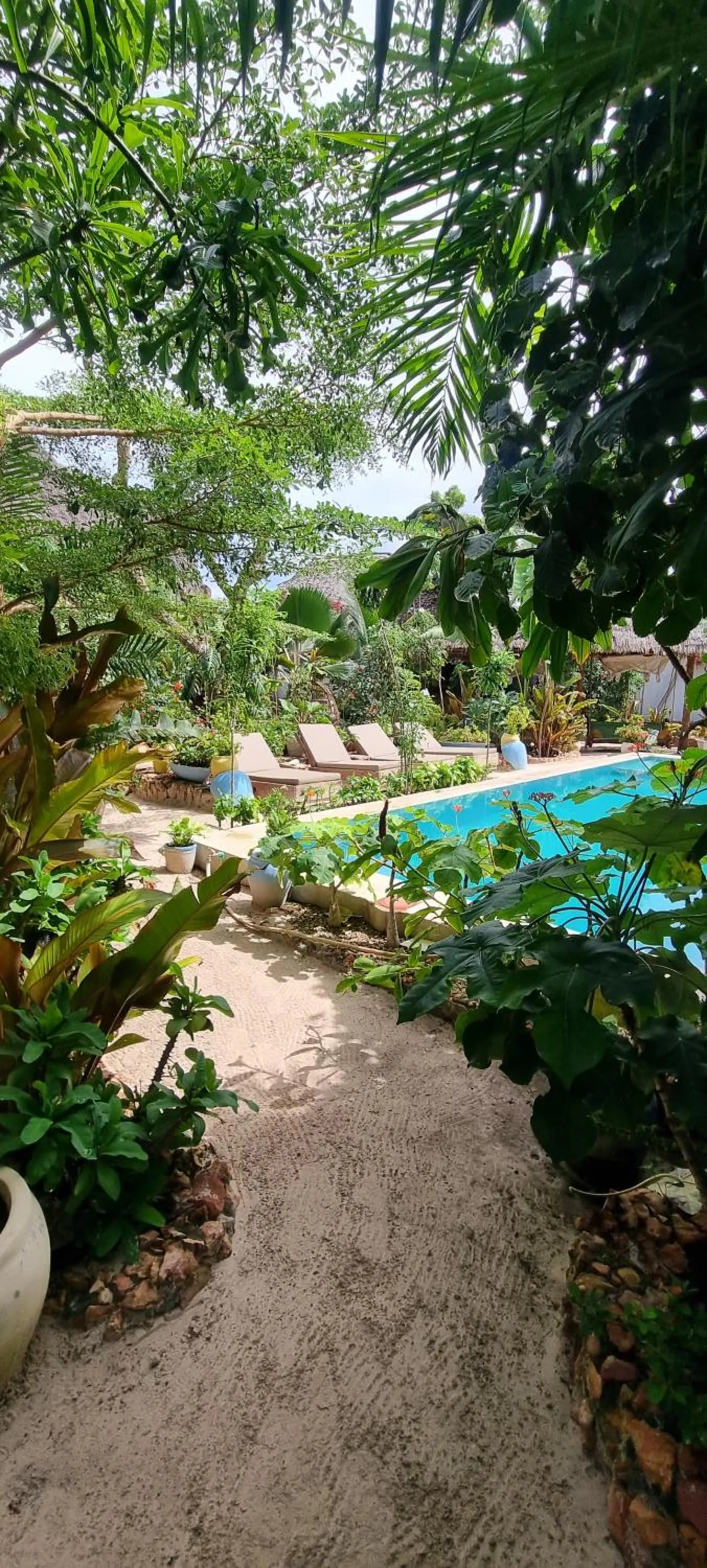 Garden in Salama & Mbuyuni Bungalows