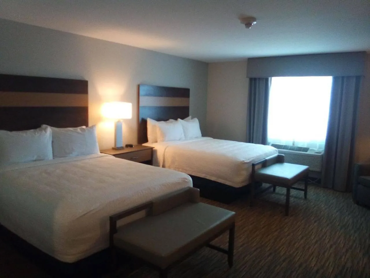 Bed in GrandStay Hotel & Suites Rock Valley