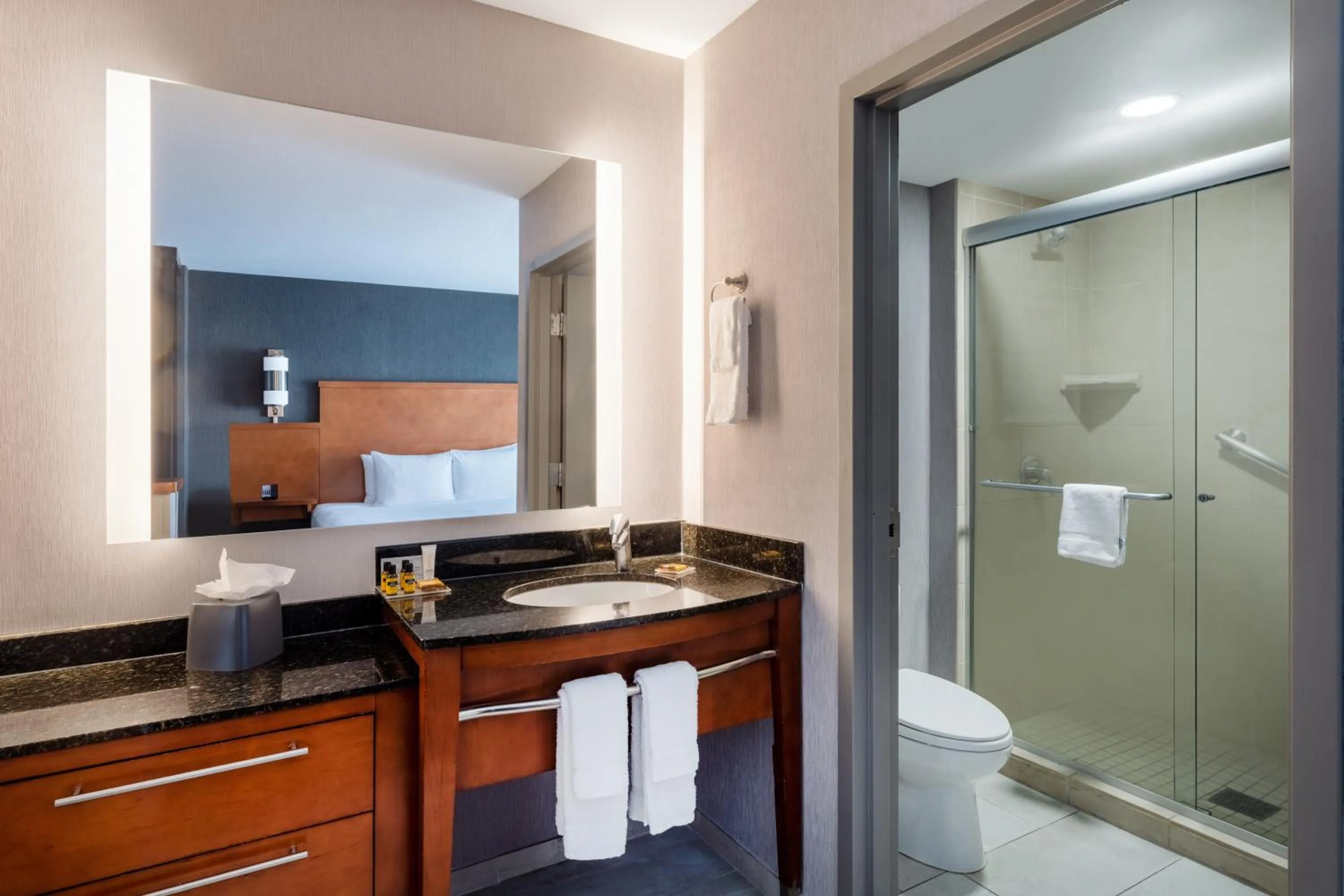 Bathroom in Hyatt Place Santa Fe