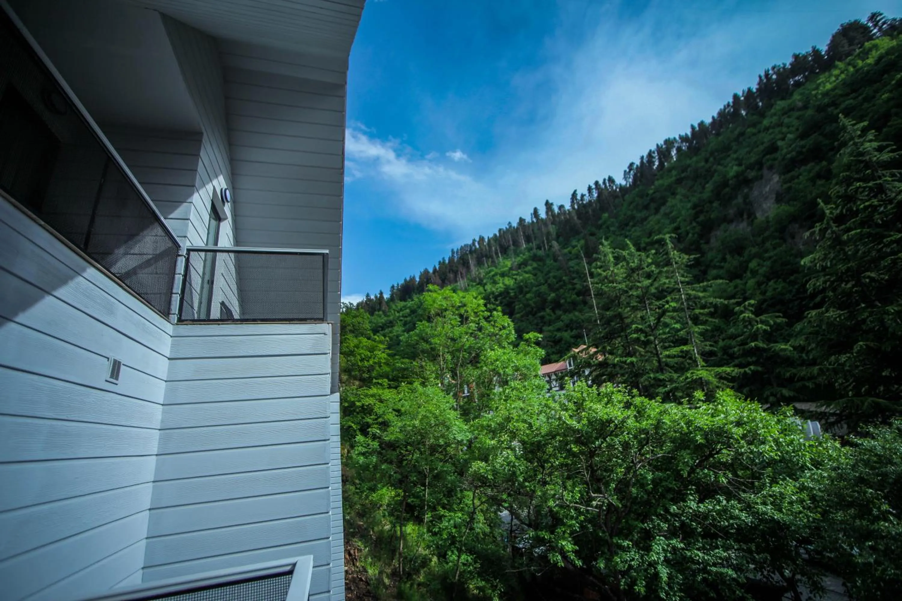 Landmark view in Borjomi UnderWood