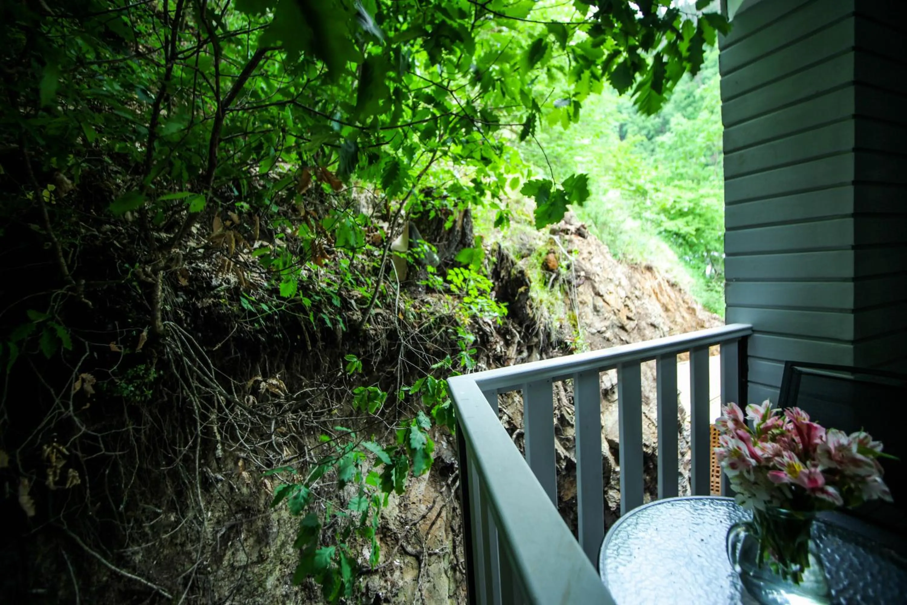 Balcony/Terrace in Borjomi UnderWood