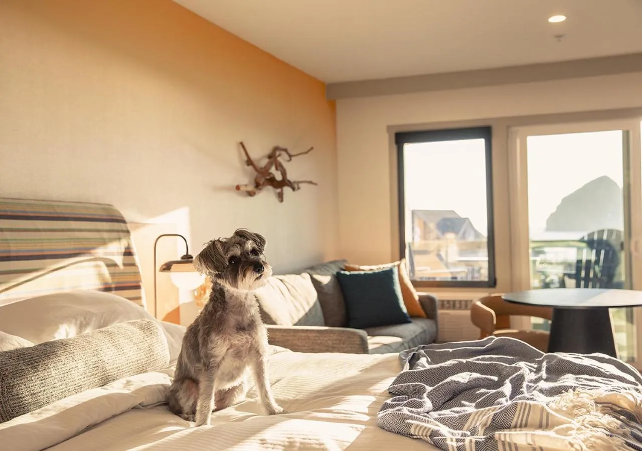 Pets in Inn at Cape Kiwanda