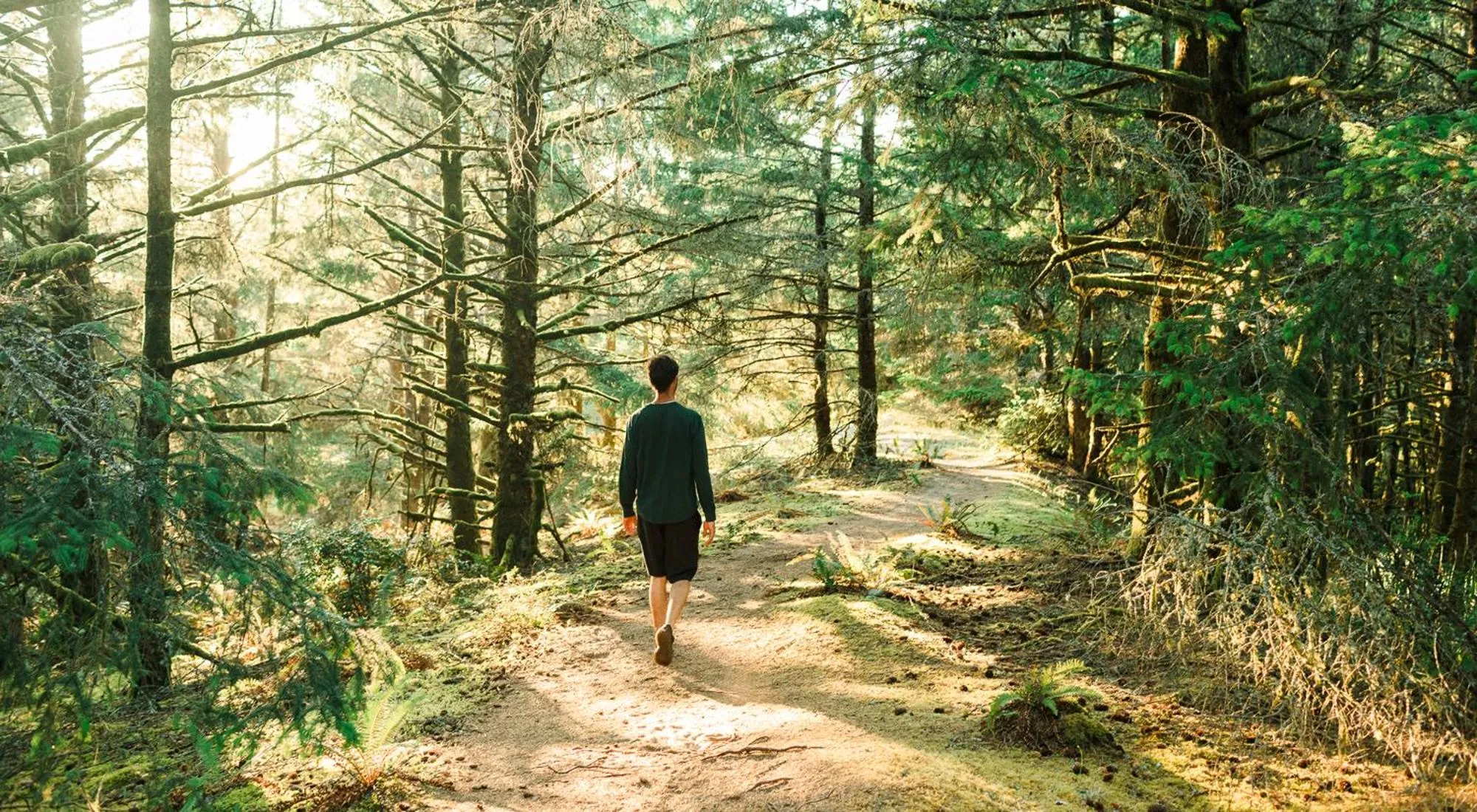 Natural landscape in Inn at Cape Kiwanda