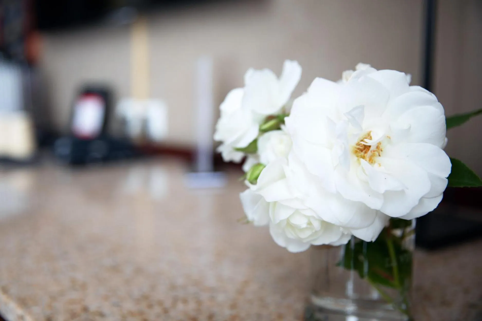 Decorative detail in Hôtel La Villefromoy