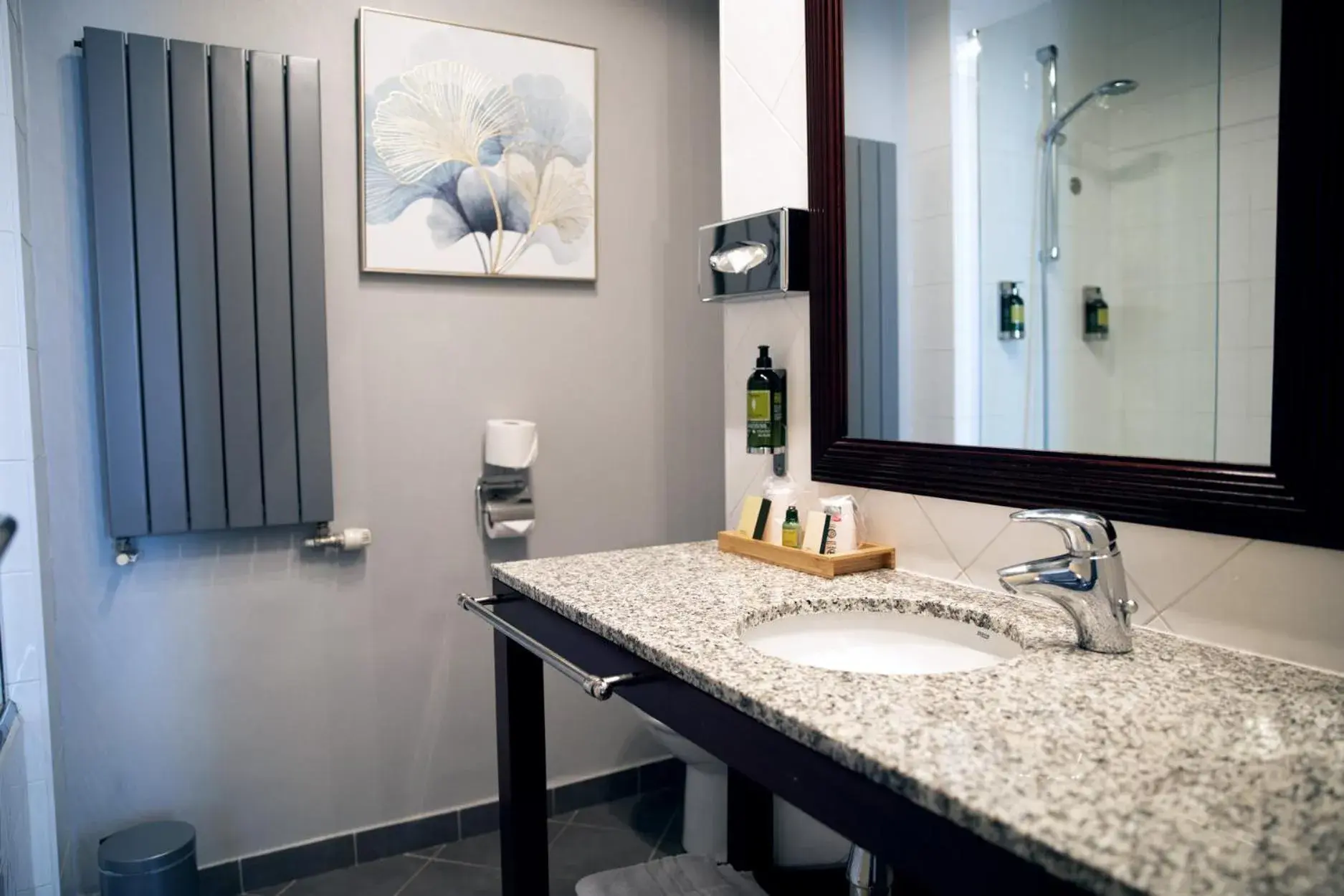 Comfort Double Room in Hôtel La Villefromoy Comfort Double Room in Hôtel La Villefromoy