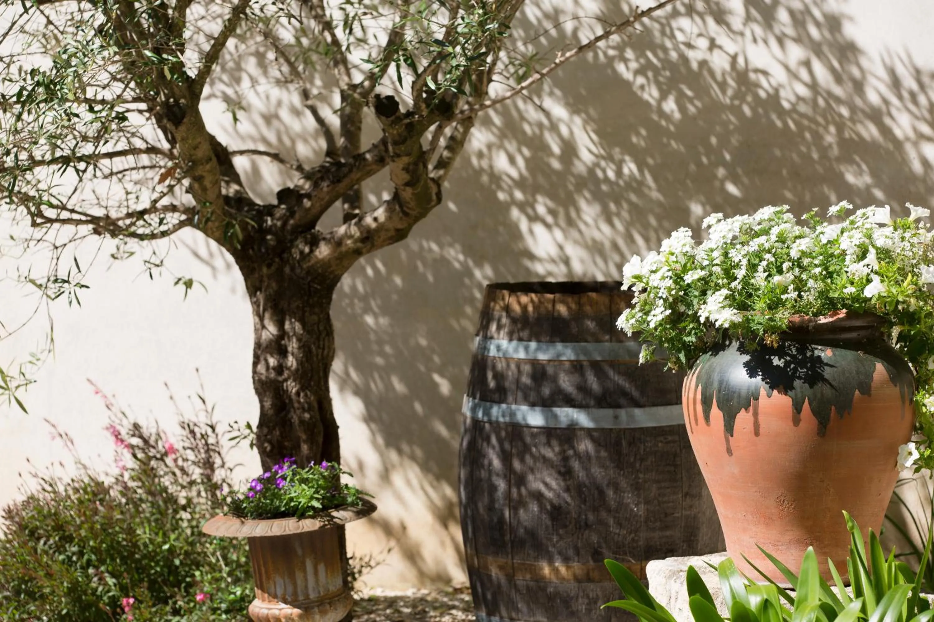 Garden view in Hôtel Le Pré Galoffre