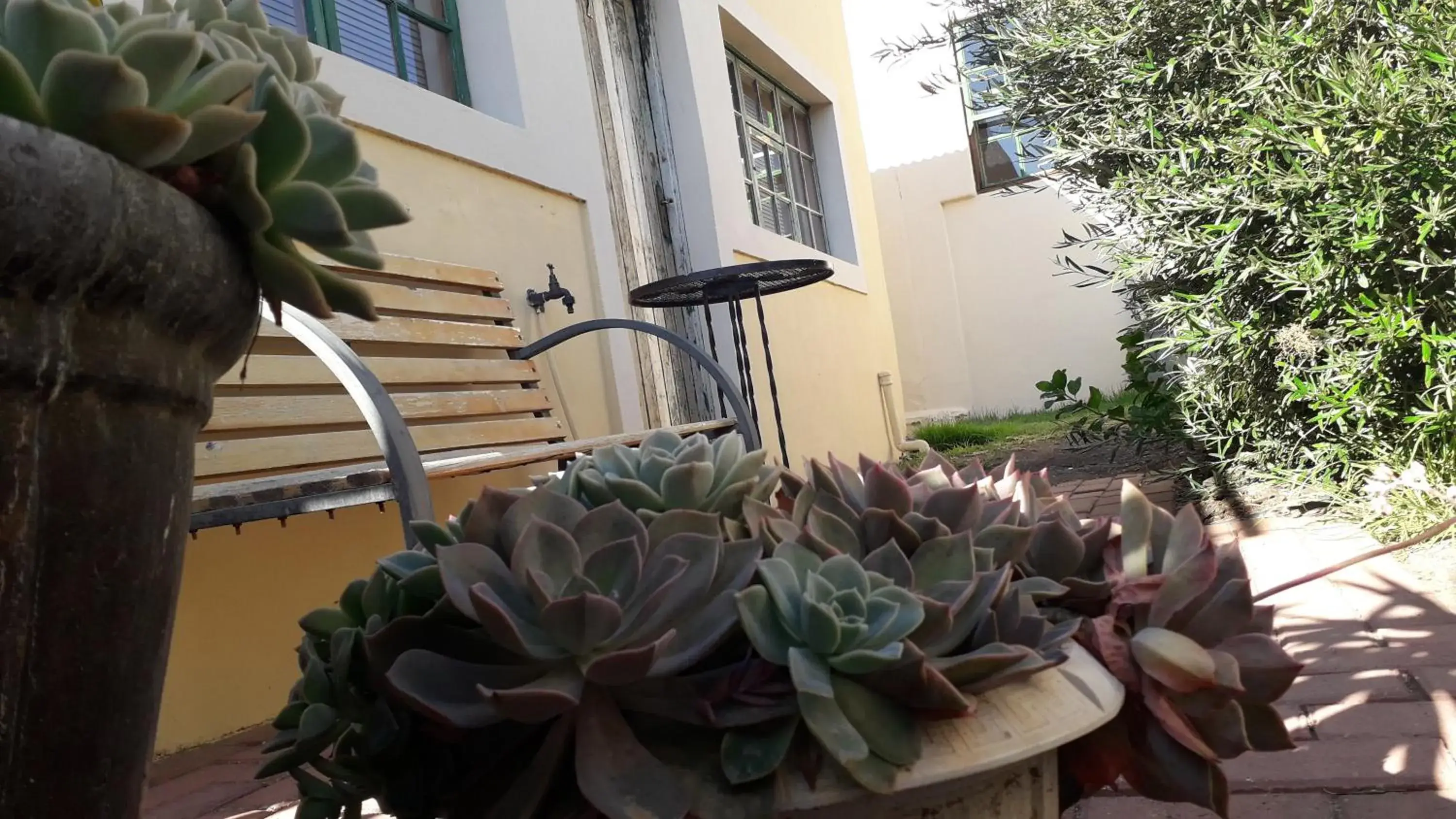 Junior Suite with Garden View in Calvinia Guesthouse Junior Suite with Garden View in Calvinia Guesthouse