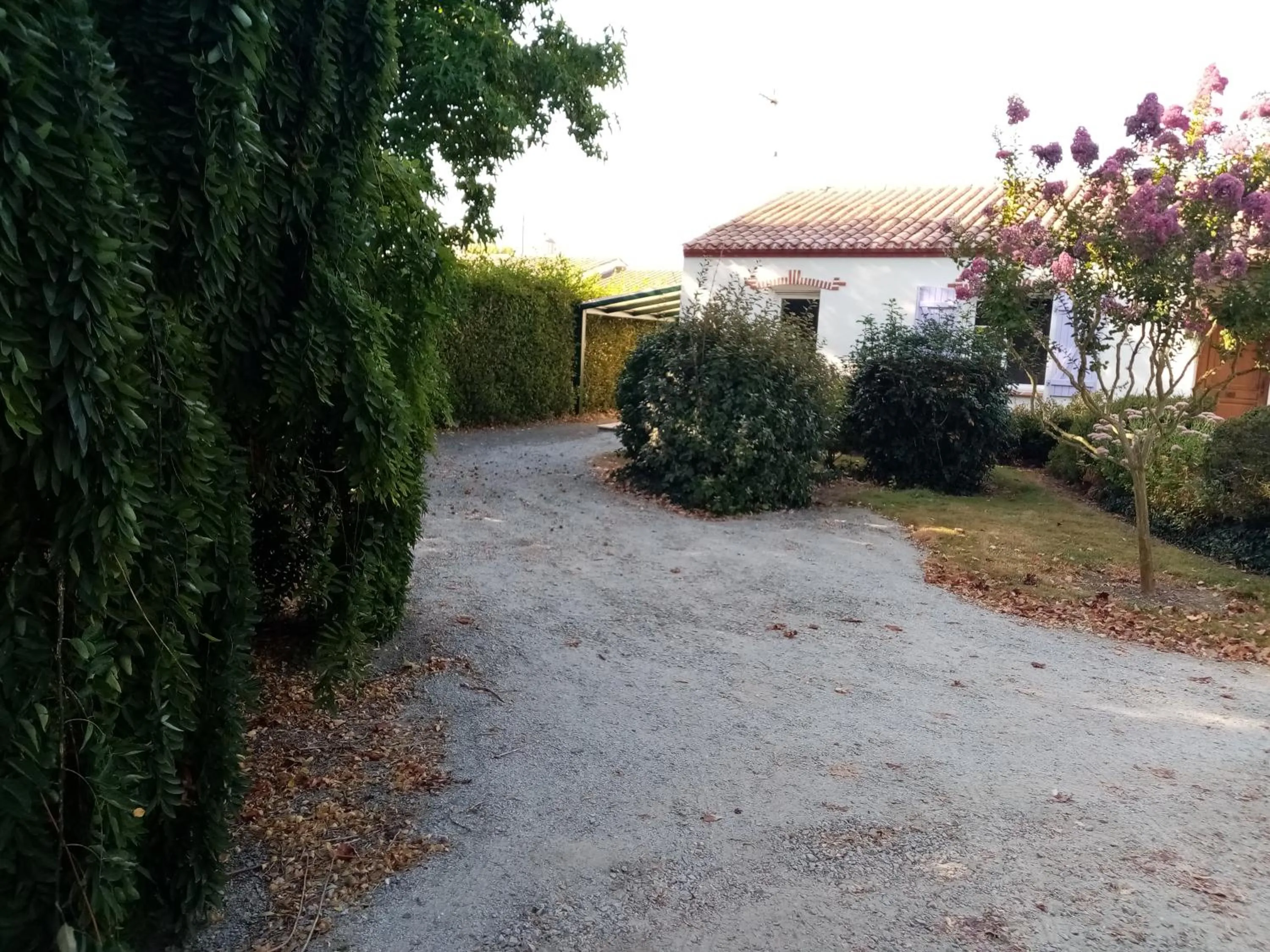 L'eden naturiste spas