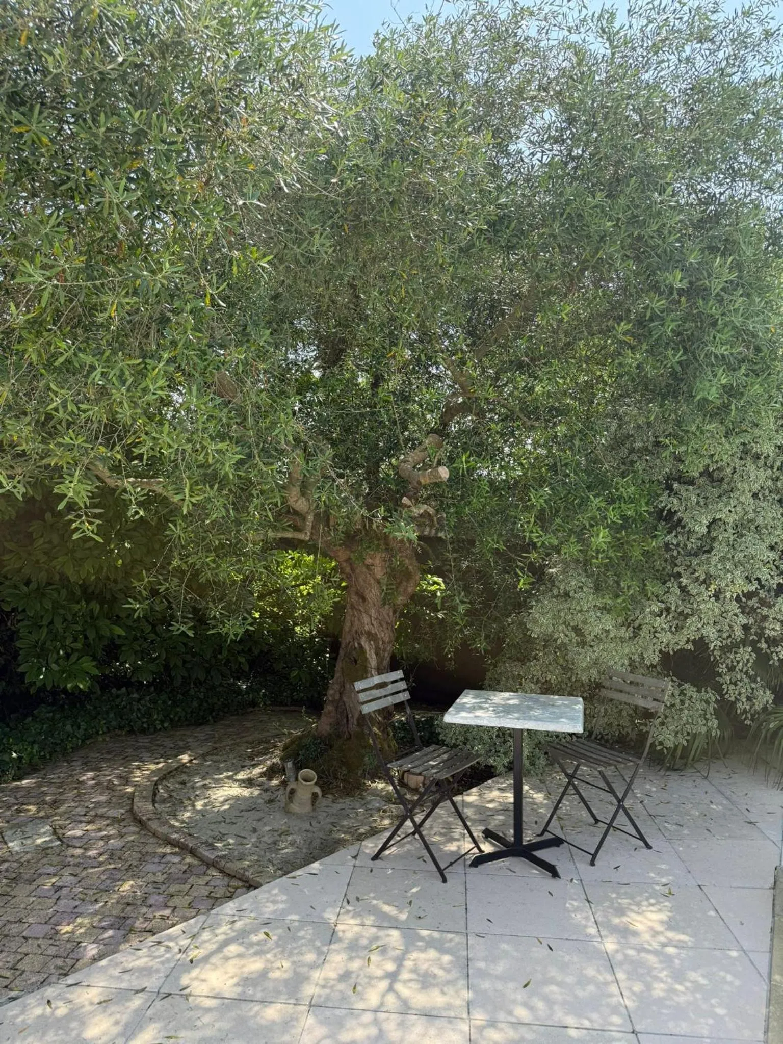 L'eden naturiste spas