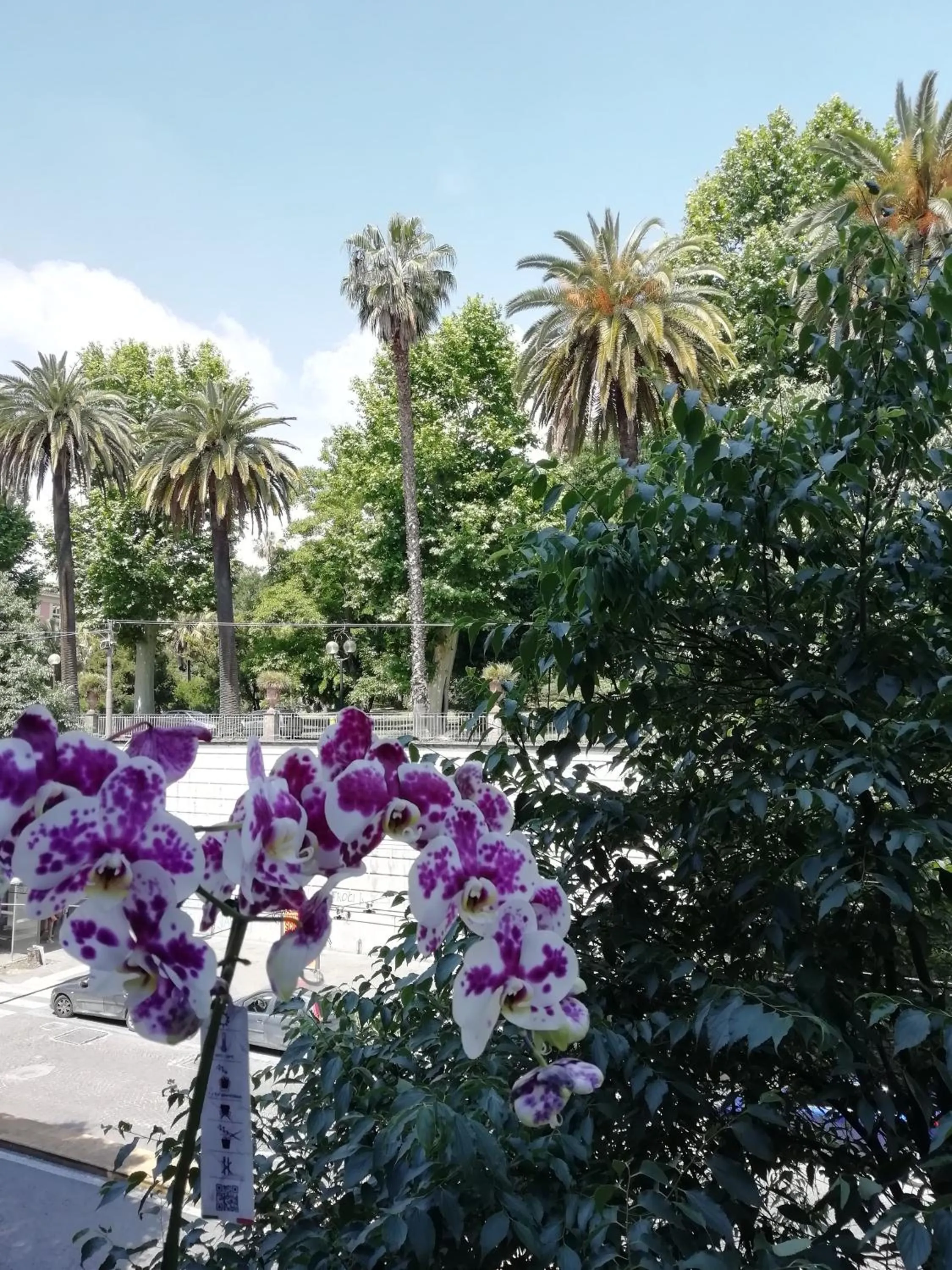 Property building in Botanic Charm