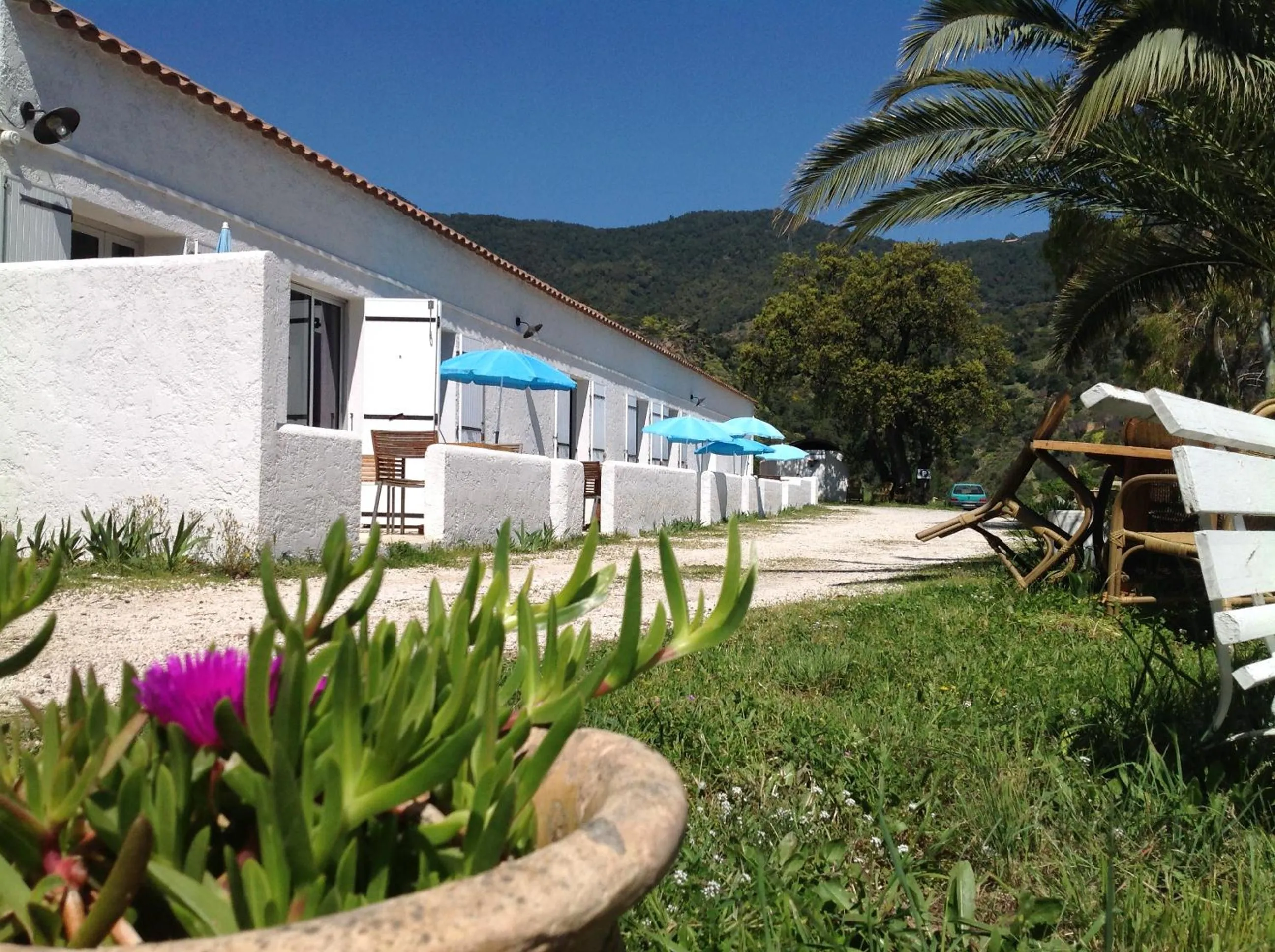 Garden in Azur Hotel