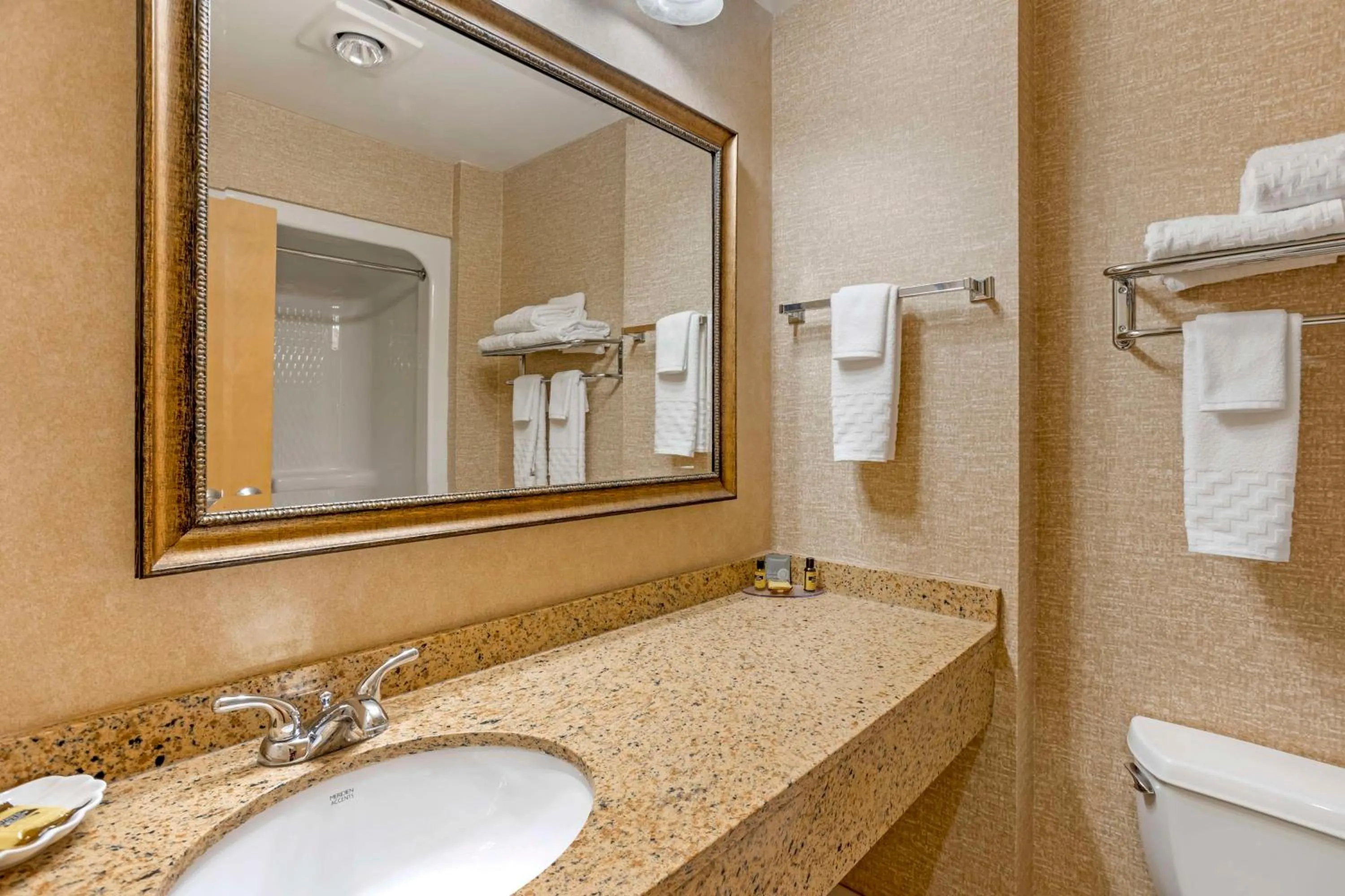 Bathroom in Best Western PLUS Revere Inn & Suites