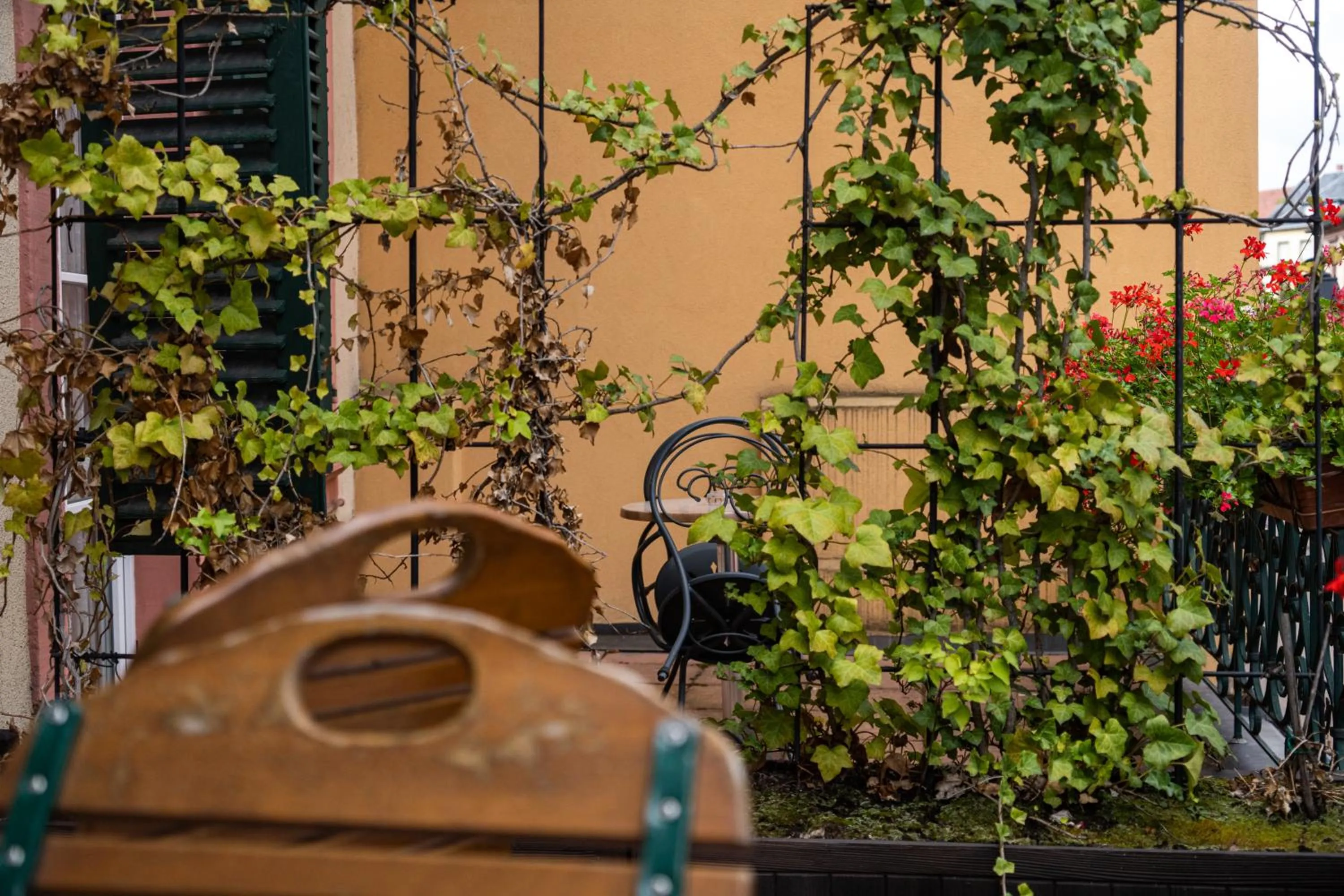 Balcony/Terrace in Hotel Saint-Martin