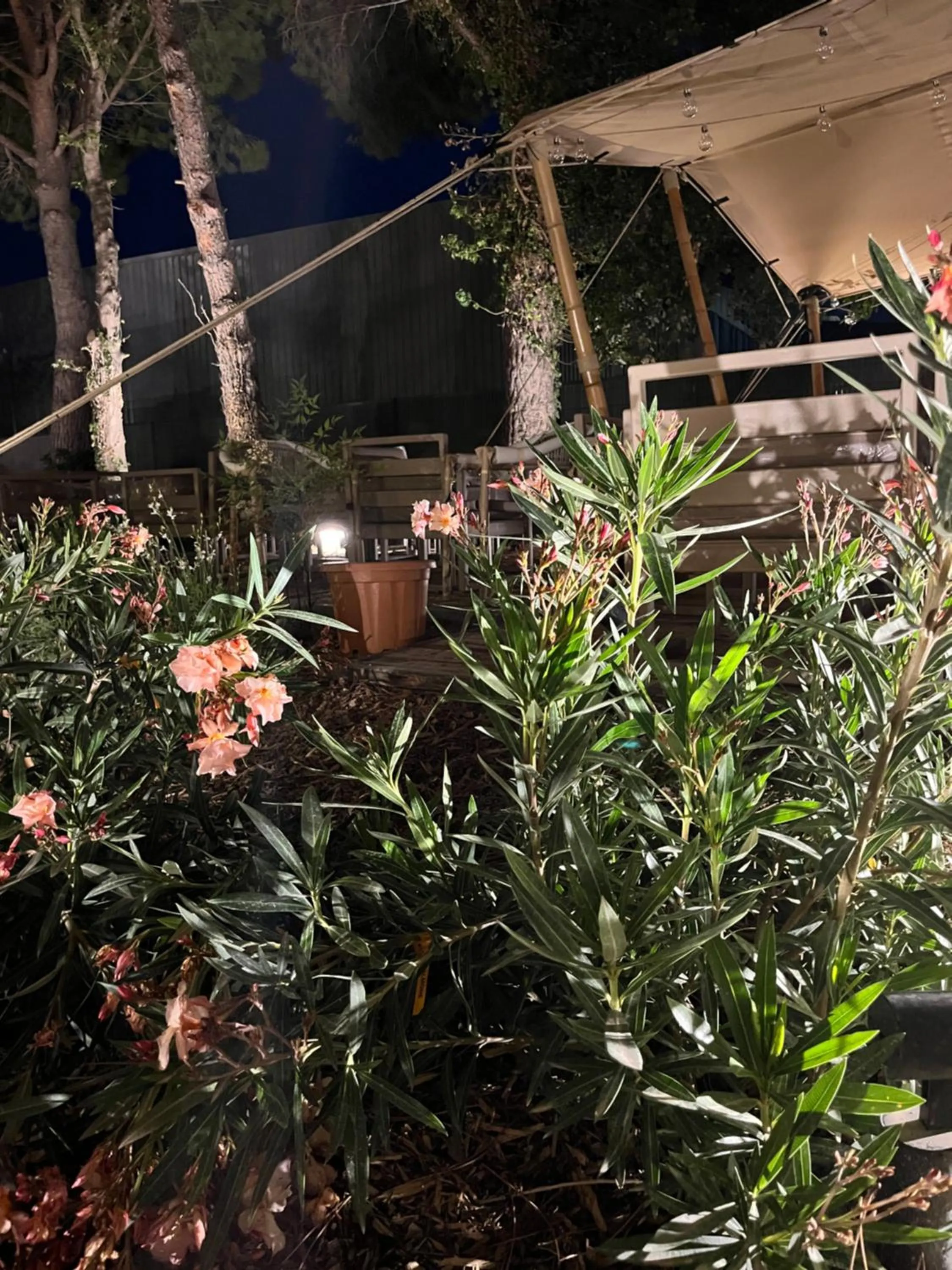 Garden in Hôtel Le Relais des Brasseurs - Aubagne