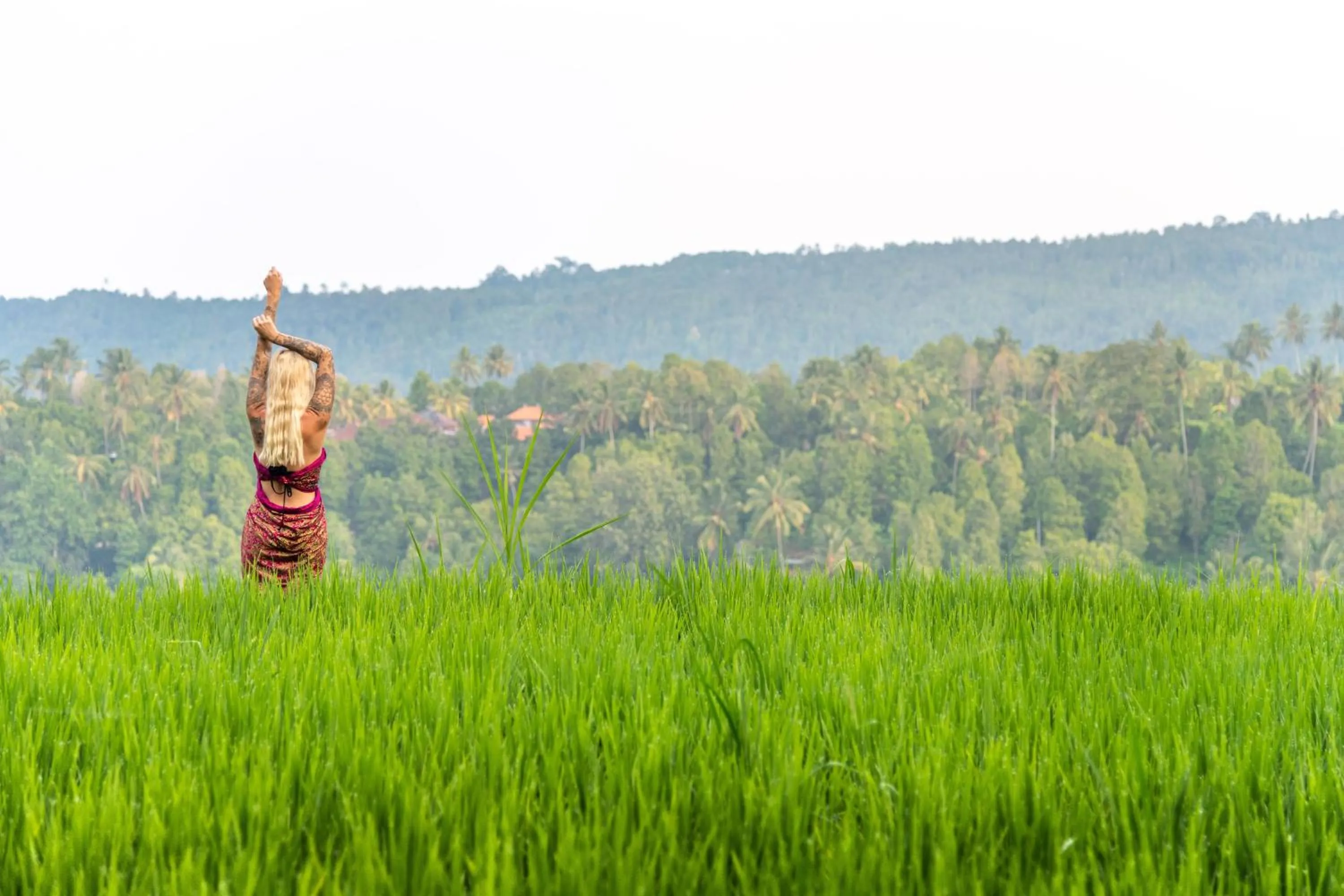 Natural landscape in Bali De Pardis Cottage