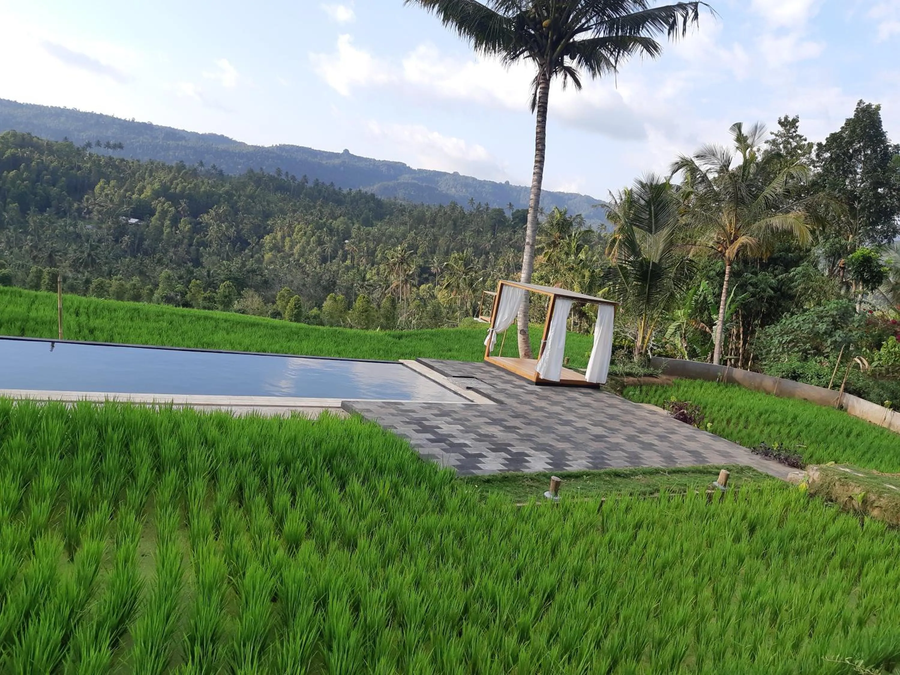 Natural landscape in Bali De Pardis Cottage