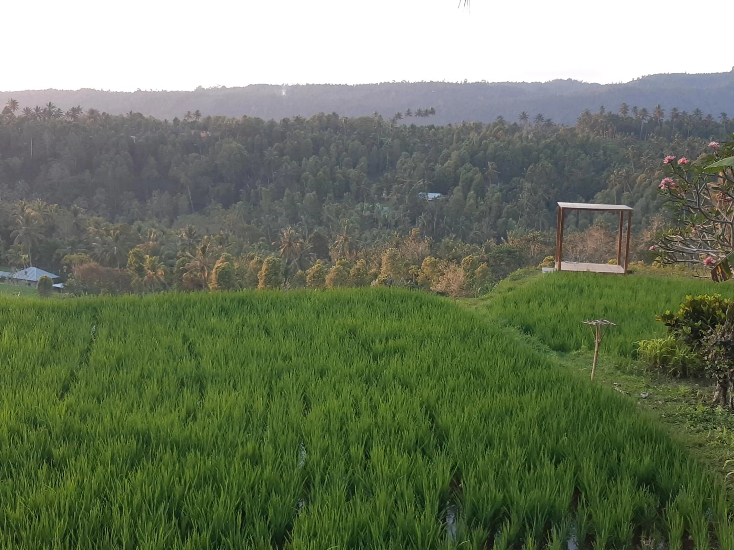 Natural landscape in Bali De Pardis Cottage
