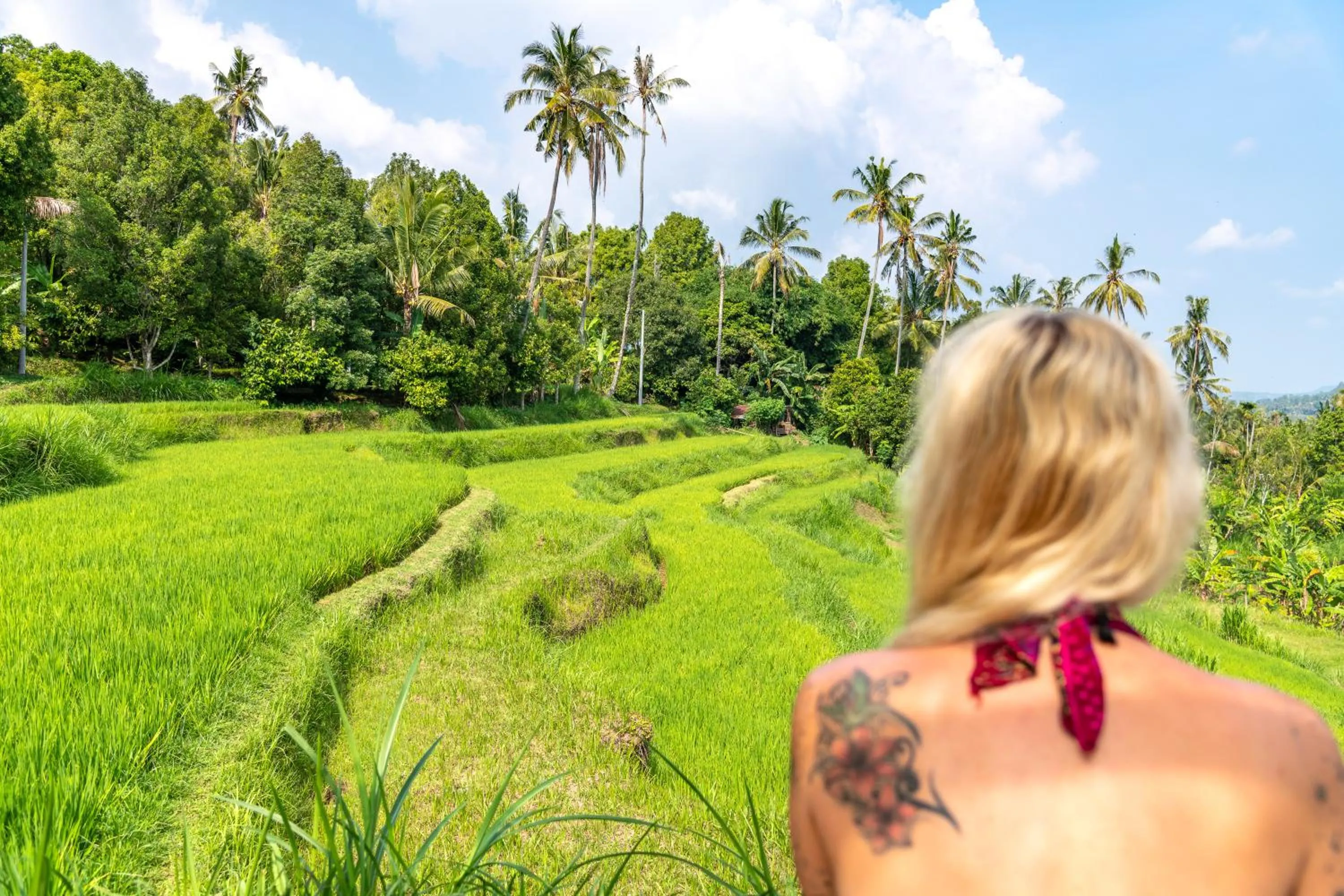 Garden in Bali De Pardis Cottage