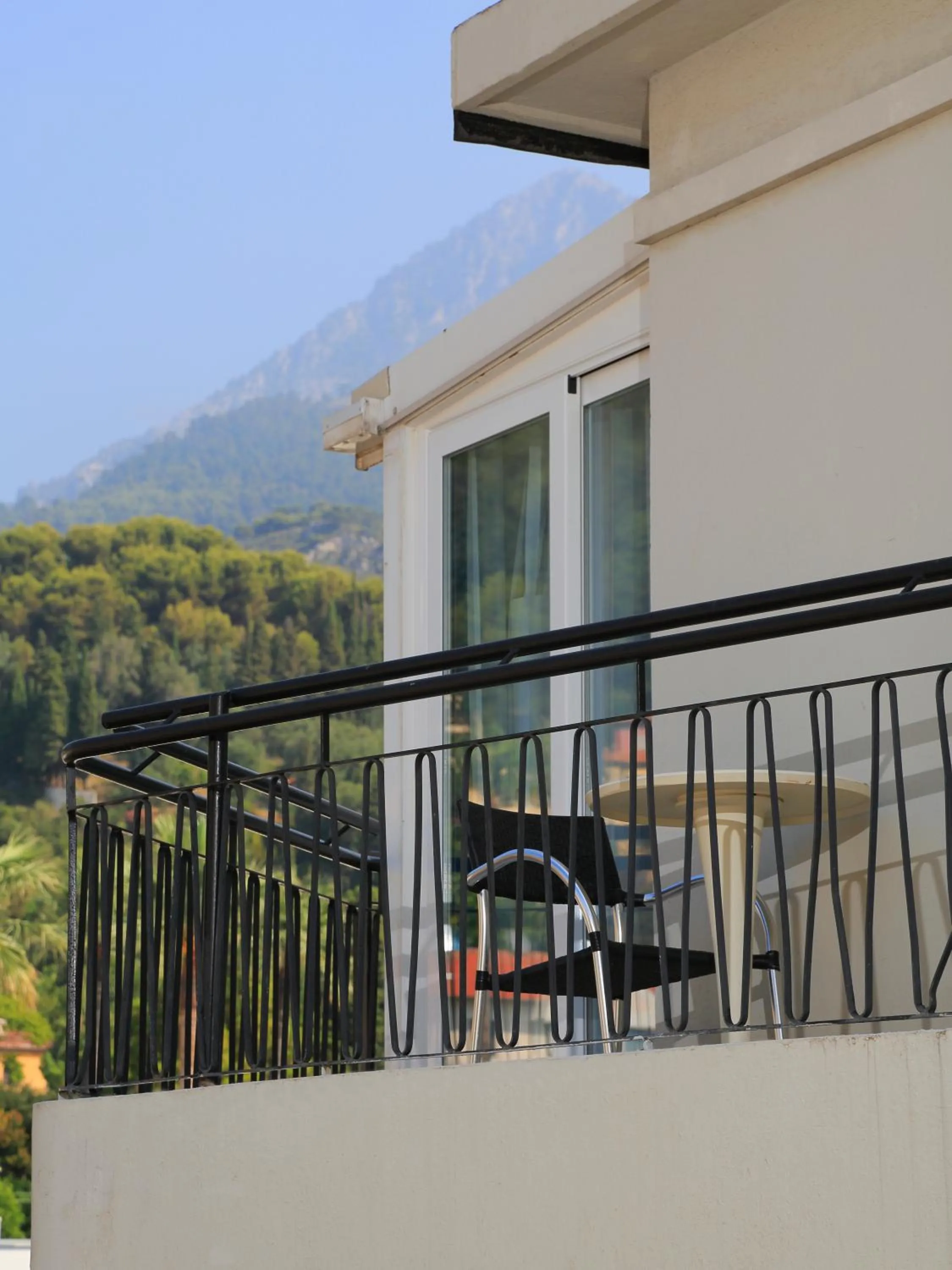 Balcony/Terrace in Hotel Napoléon