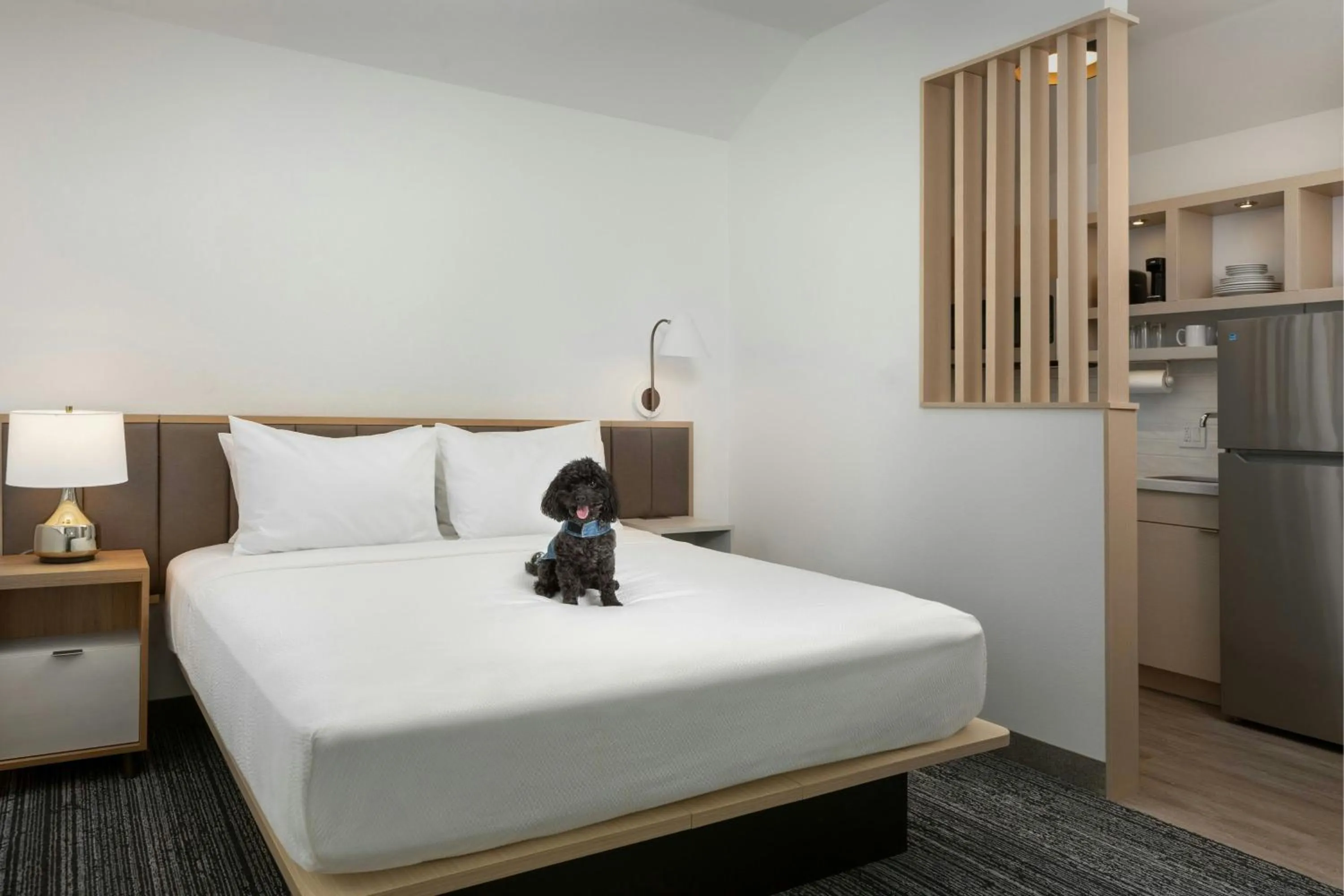 Other, Bed in TownePlace Suites by Marriott Annapolis