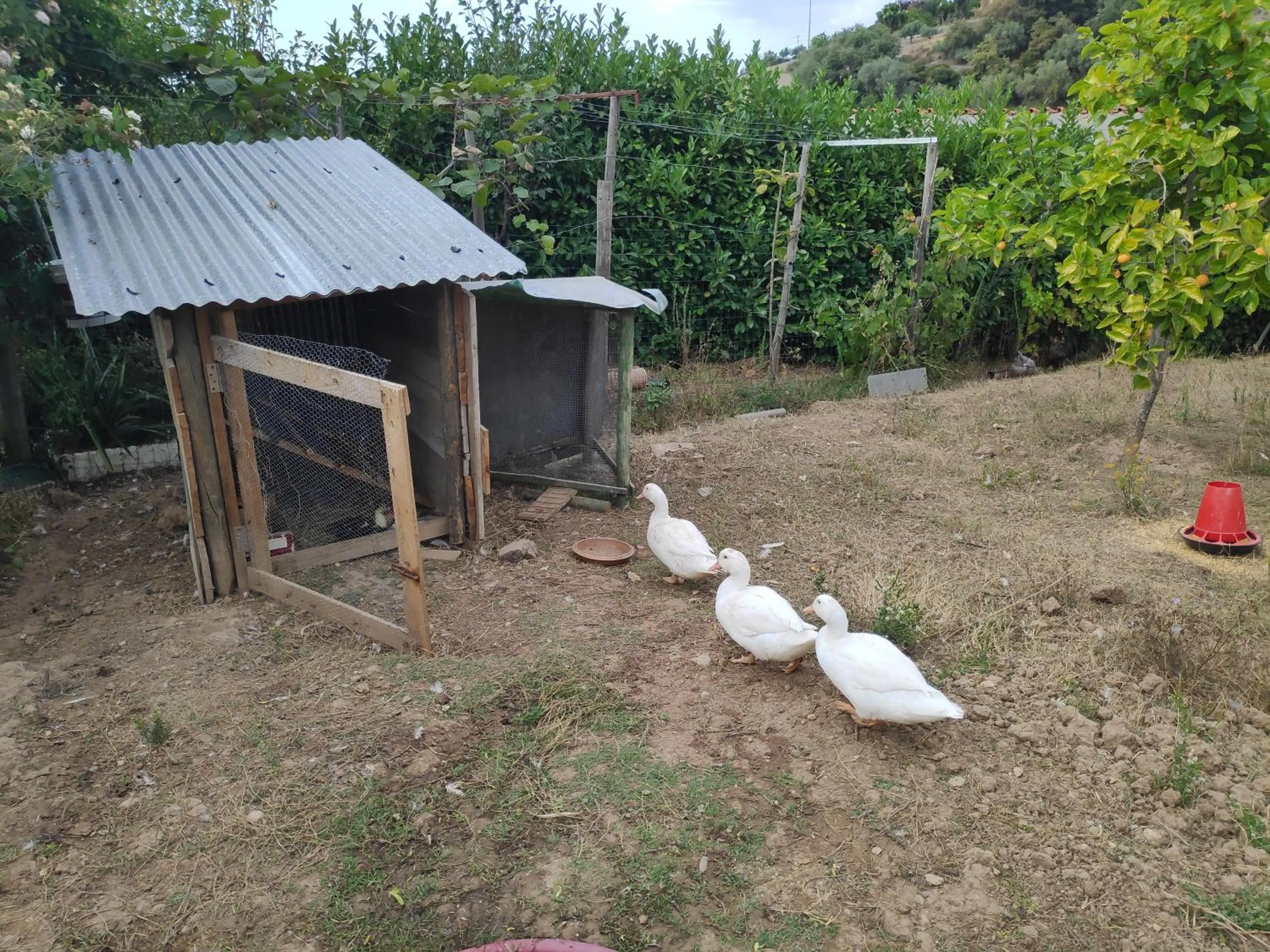 Nature et al House - Casa para uso exclusivo e jardim - Little farm