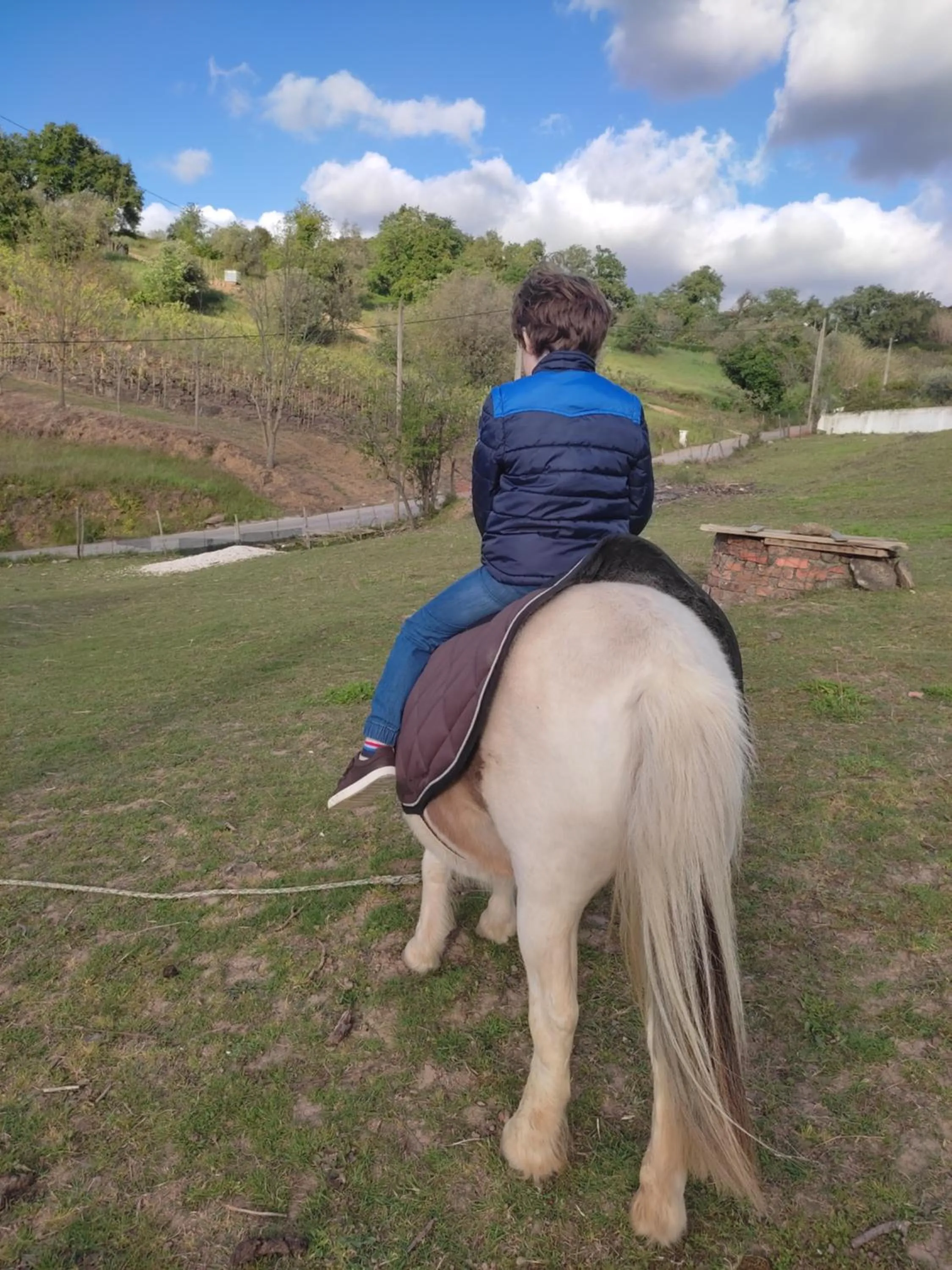 Animals in Nature et al House - Casa para uso exclusivo e jardim - Little farm