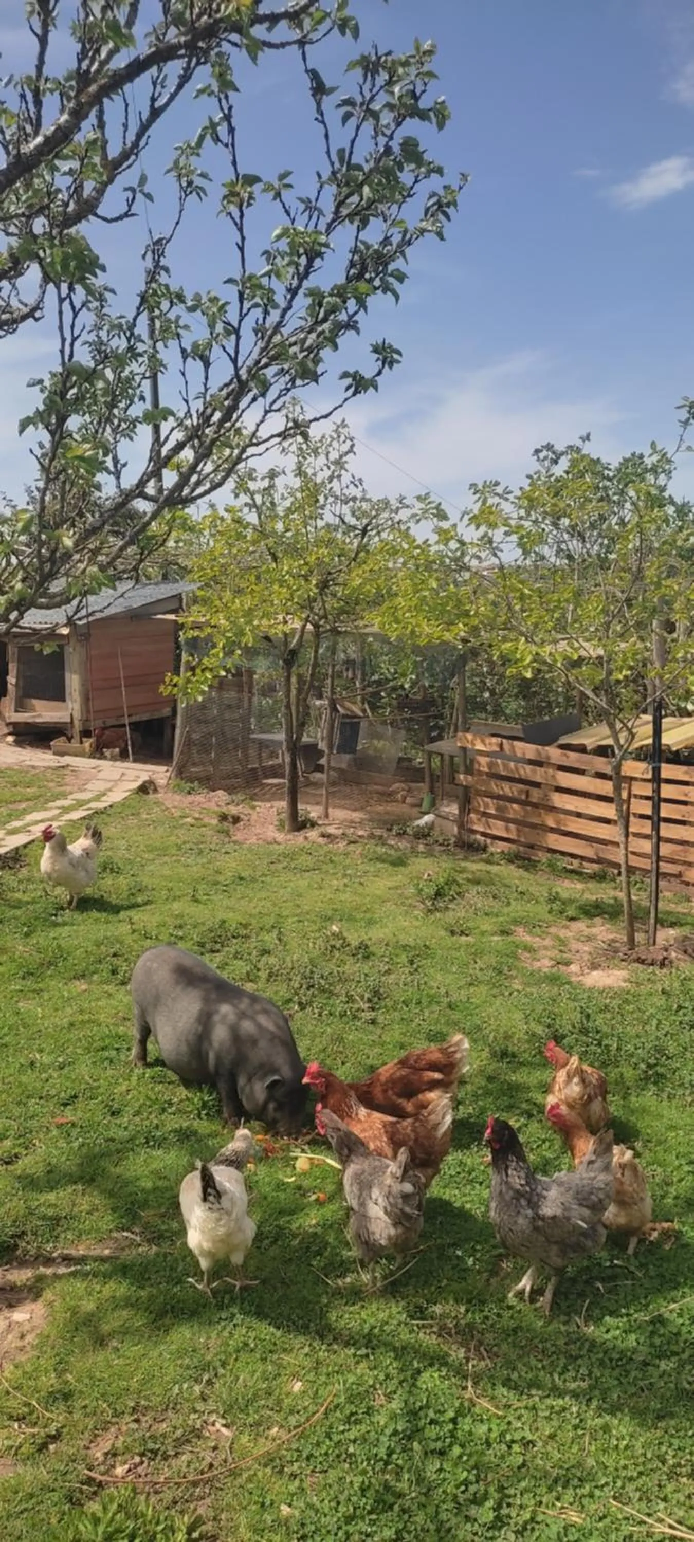 Property building in Nature et al House - Casa para uso exclusivo e jardim - Little farm
