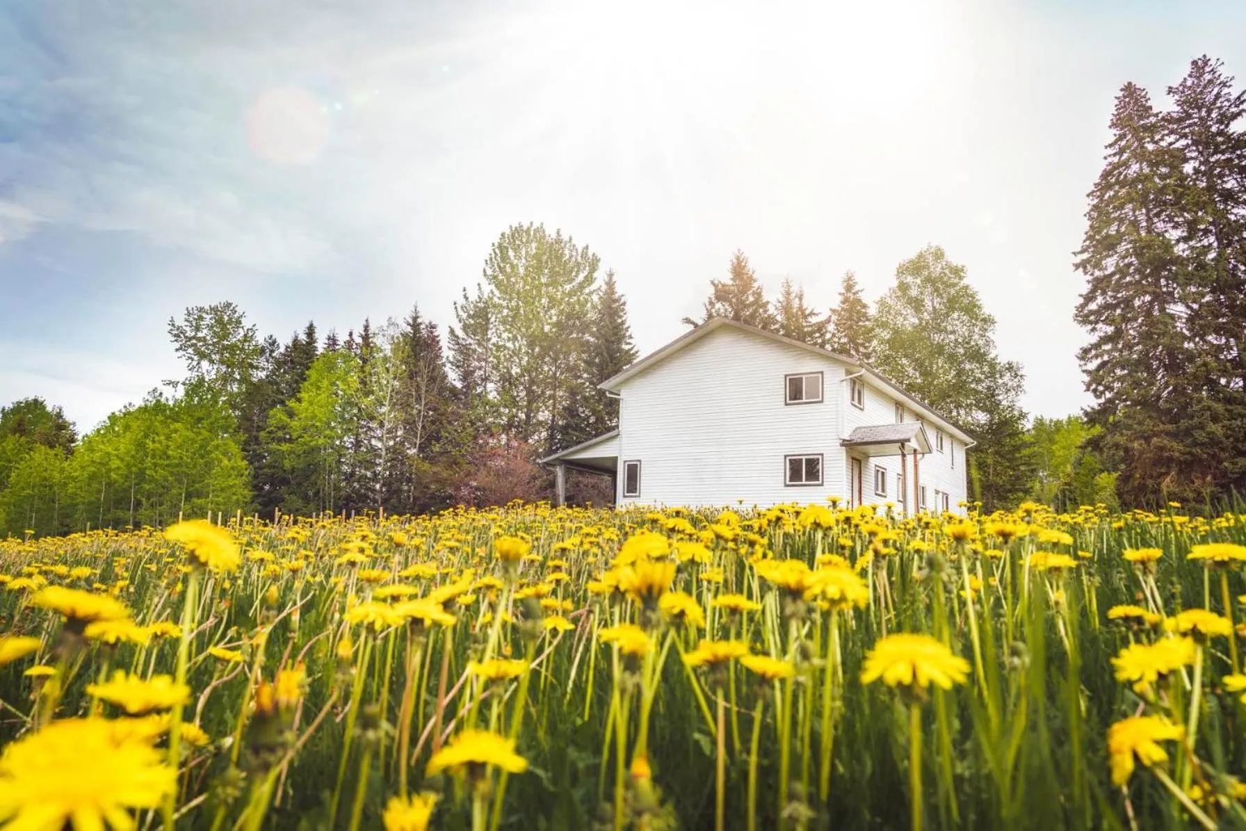 Willow Grove B&B Inn