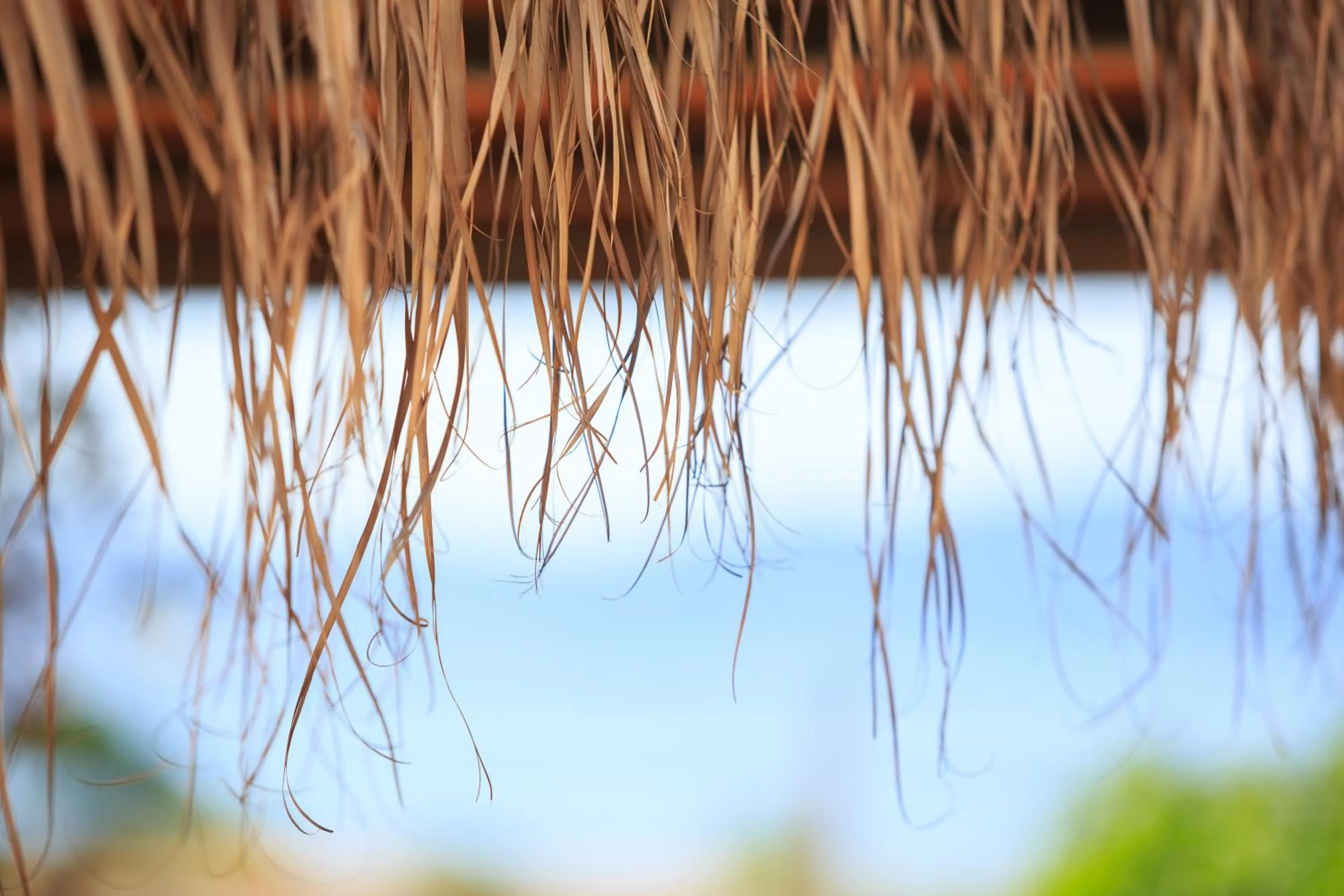 Beach in 180 South Seaside Hotel