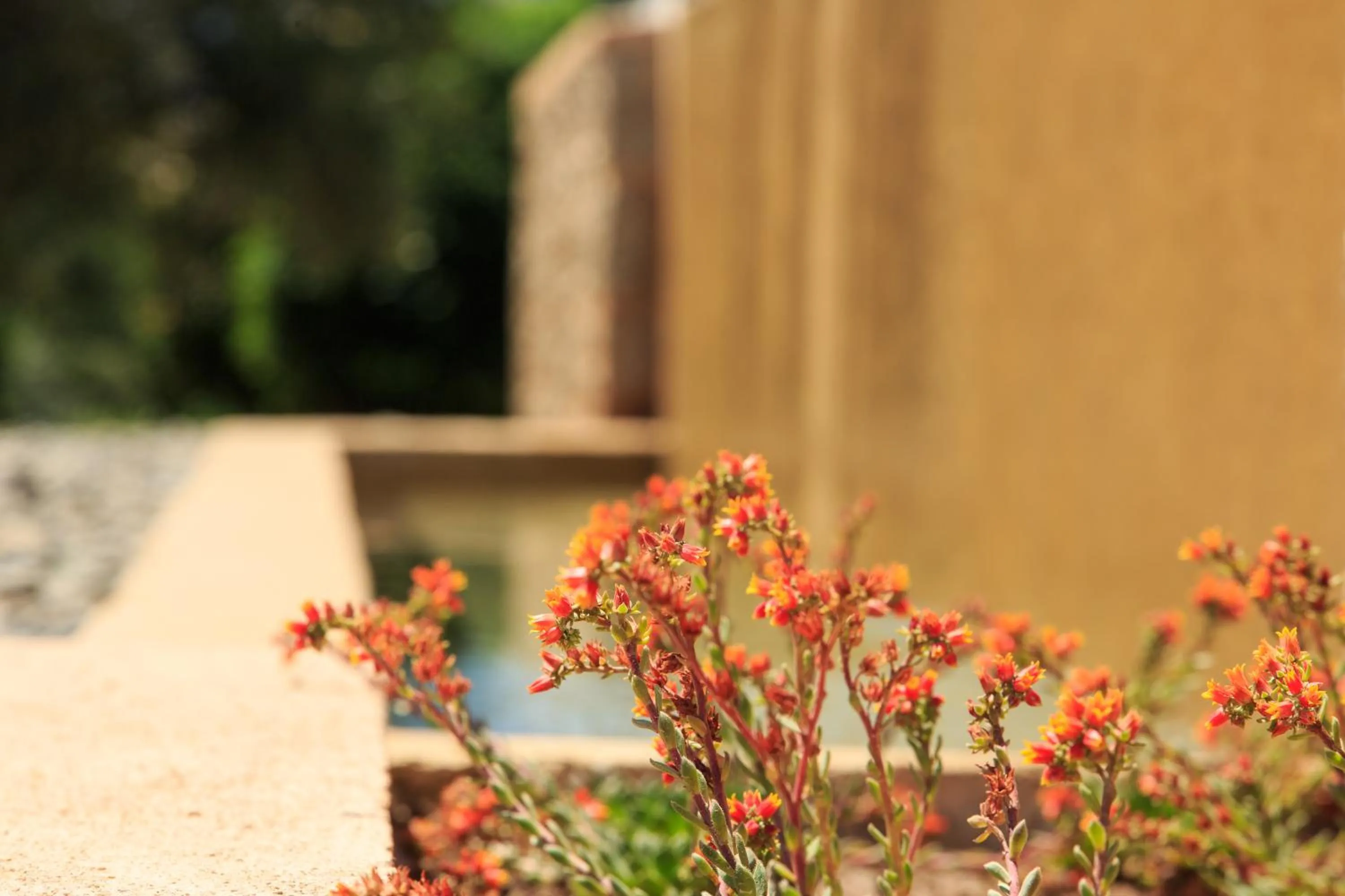 Garden in 180 South Seaside Hotel