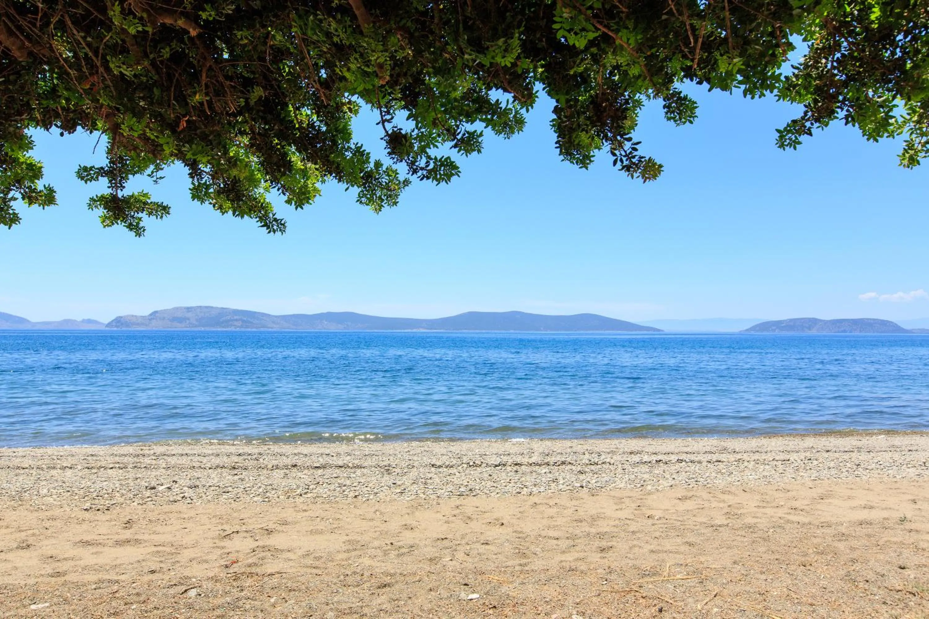 Natural landscape in 180 South Seaside Hotel