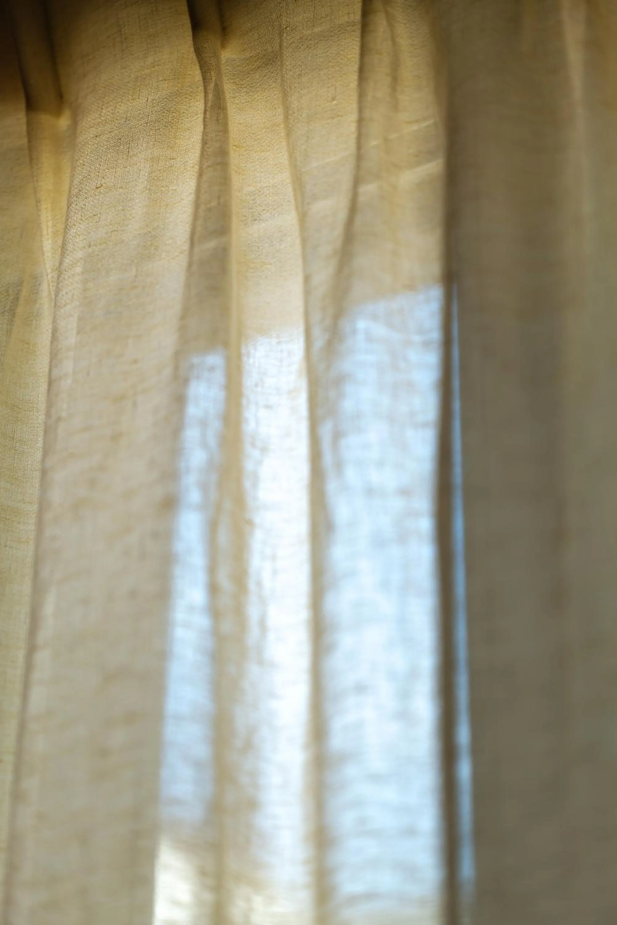 Decorative detail in Hôtel de La Boétie