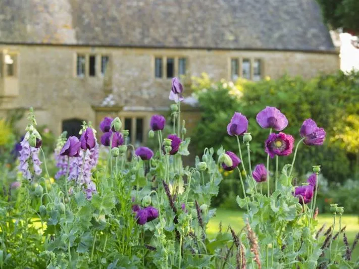 Property building in Lower Severalls Farmhouse